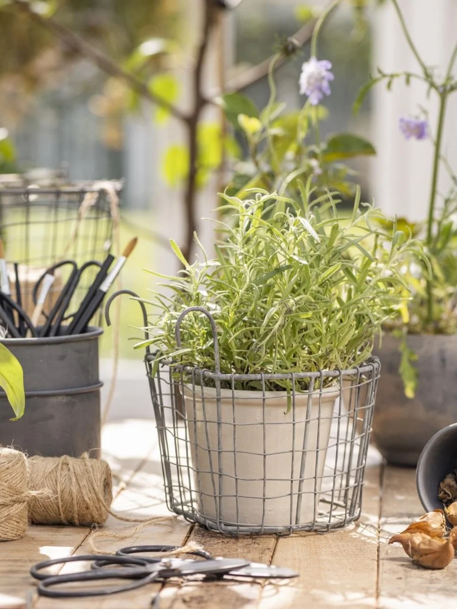 Dein Balkon, nur sch&ouml;ner 🌿🧺

Mit den Drahtk&ouml;rben von Ib Laursen wird Dein Balkon im Handumdrehen zur stilvollen Wohlf&uuml;hloase. 

Perfekt f&uuml;r alle, die ihren Au&szlig;enbereich  oder Gartenhaus mit kleinen Details ganz gro&szlig; 