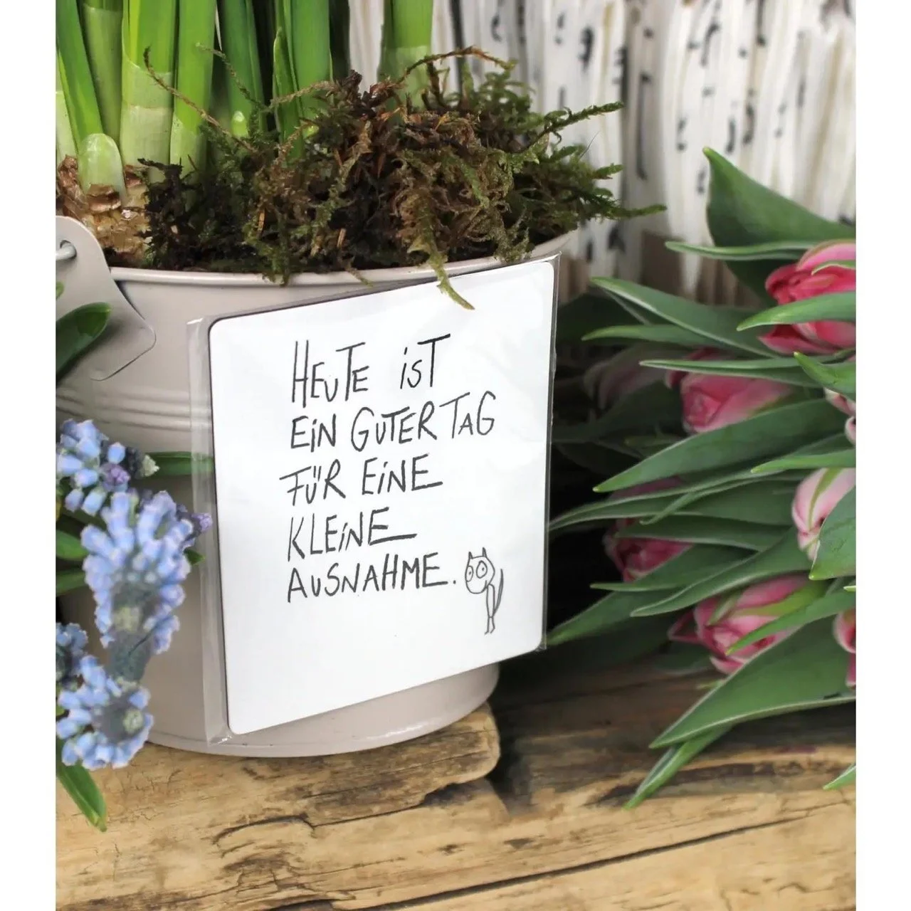 edition_gute_geister_magnet_kleine_ausnahme_1.jpeg