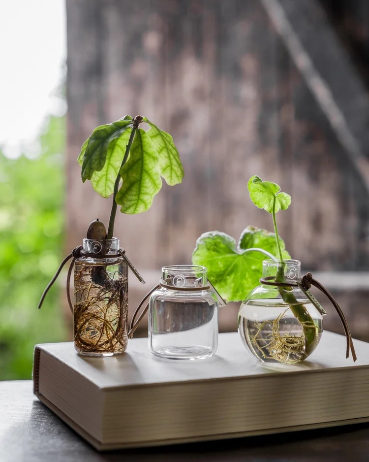 ERNST Glas Vasen Mini im 3er Pack — herzenszucker