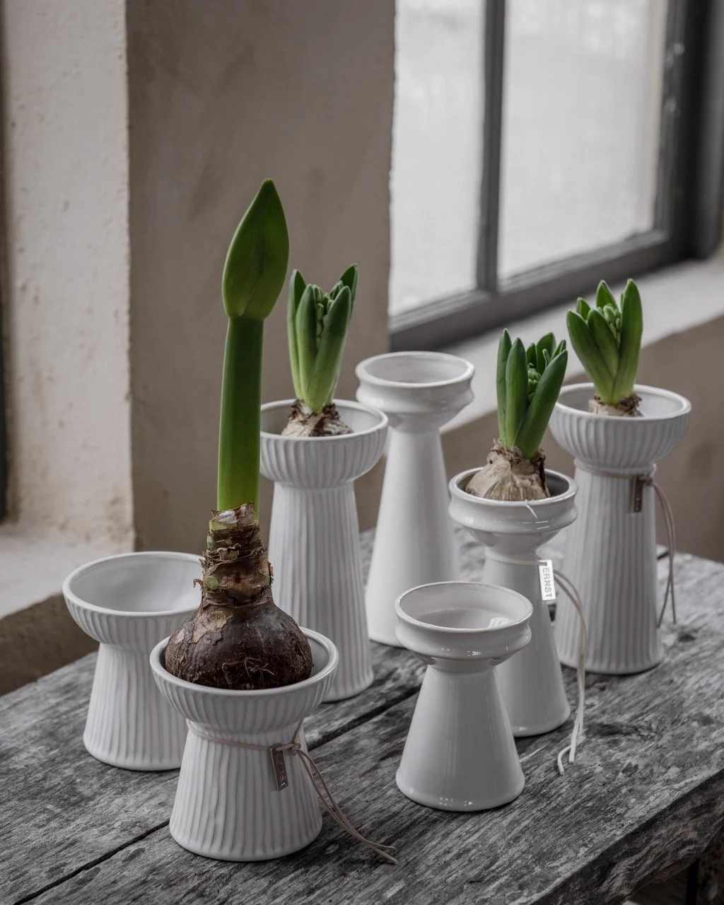 Ernst Hyazinthen Vase Naturweiss H20.jpeg