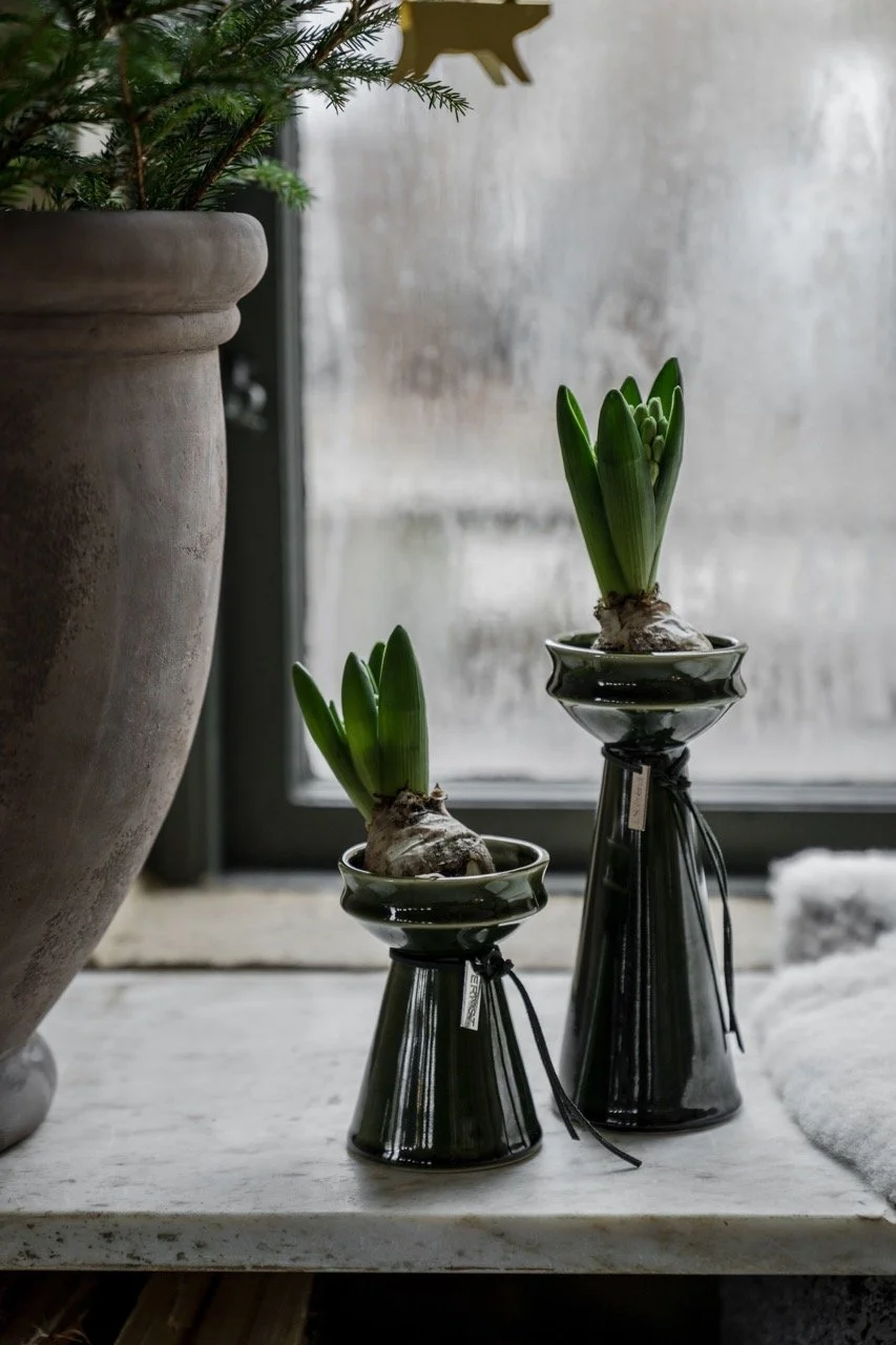 Ernst Hyzinthen Vasen Steingut Gruen.jpeg