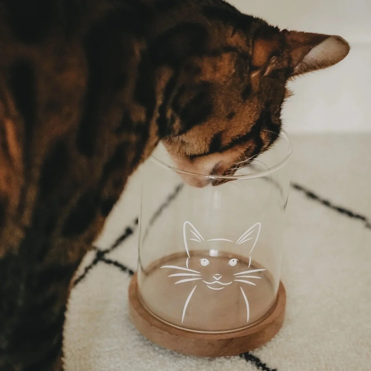 eulenschnitt_gl-274_vorratsglas_katze_photocredits_eulenschnitt-5.jpg
