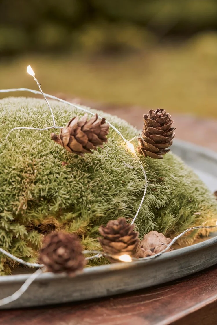 IB LAURSEN Lichterkette mit 10 LED und Zapfen (für innen) — herzenszucker