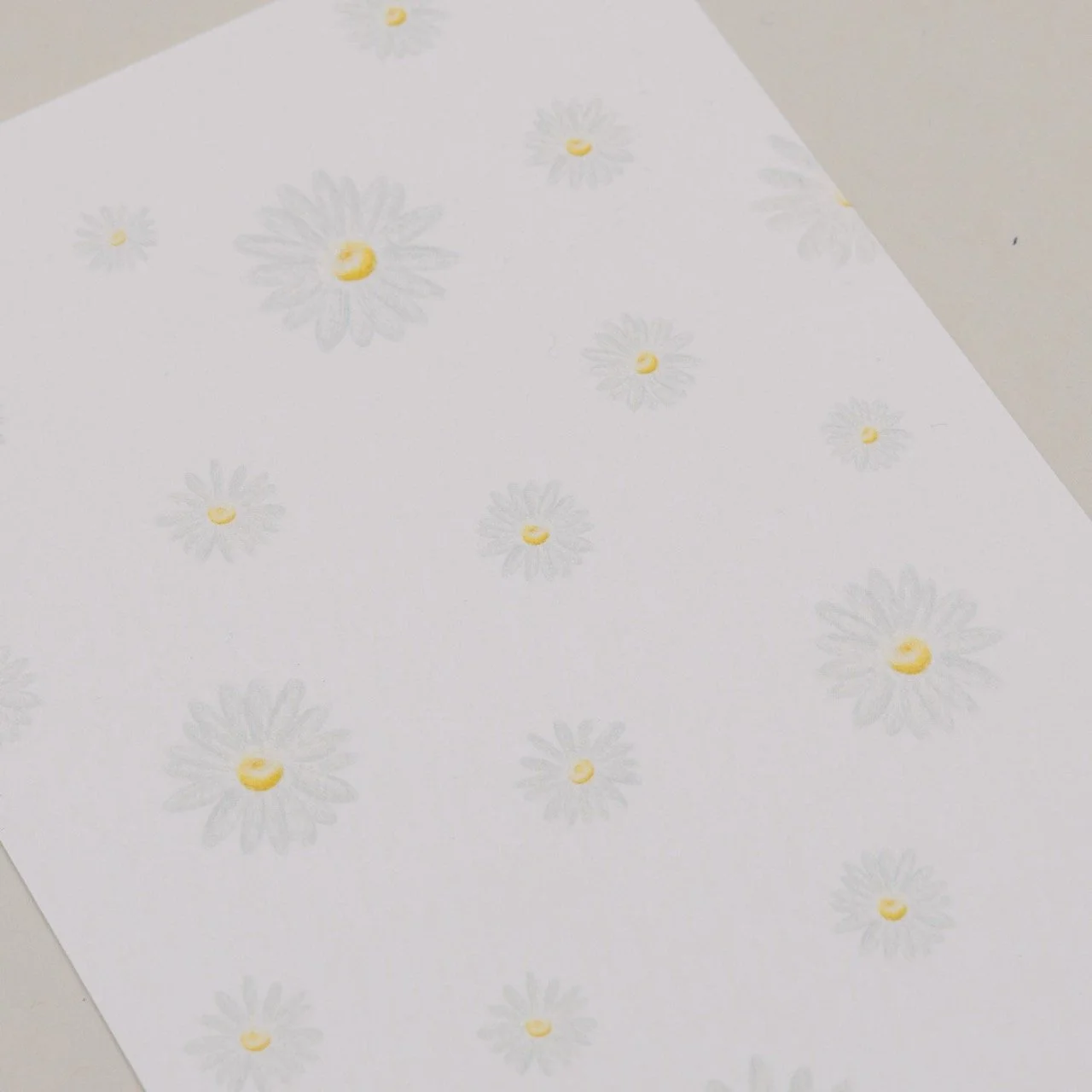 eulenschnitt_aquarellkarte_daisies_photocredits_eulenschnitt_4.jpeg