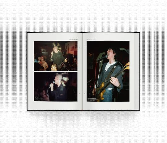 paul-may-shot-from-both-sides-photos-of-uk-punk-gigs-1981-86-book-pre-order_Zg6b0_540x.jpg