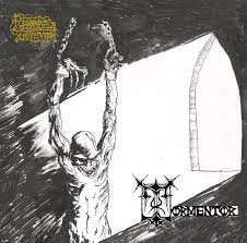 Rigorous Institution - Tormentor 12"