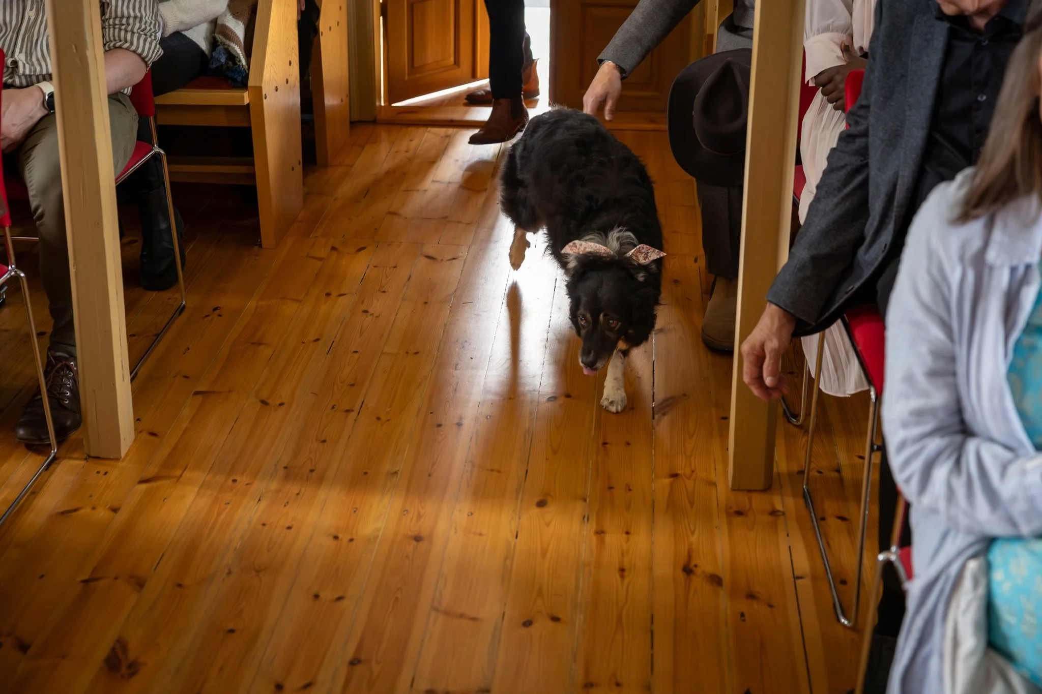 Athöfnin - NETupplausn (62 of 131).jpg