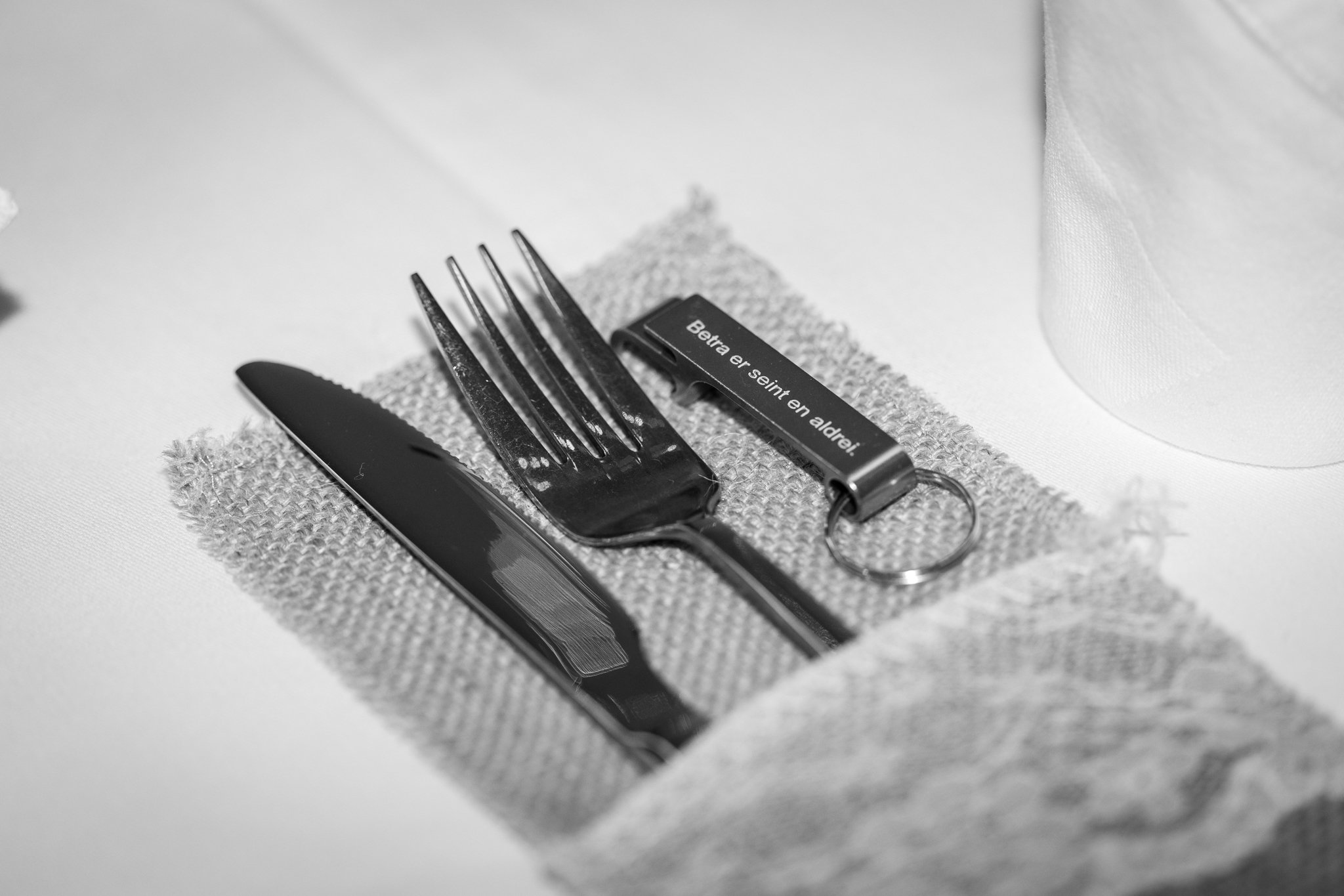 Veislan - NETupplausn (2 of 156)-2.jpg