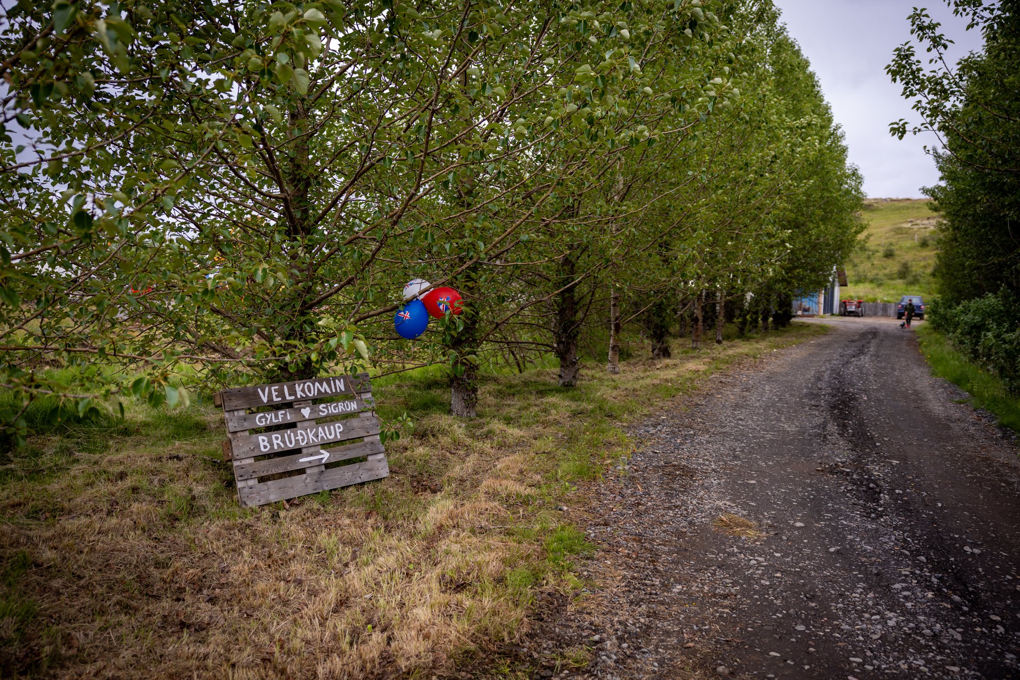 Veislan - NETupplausn (1 of 248).jpg