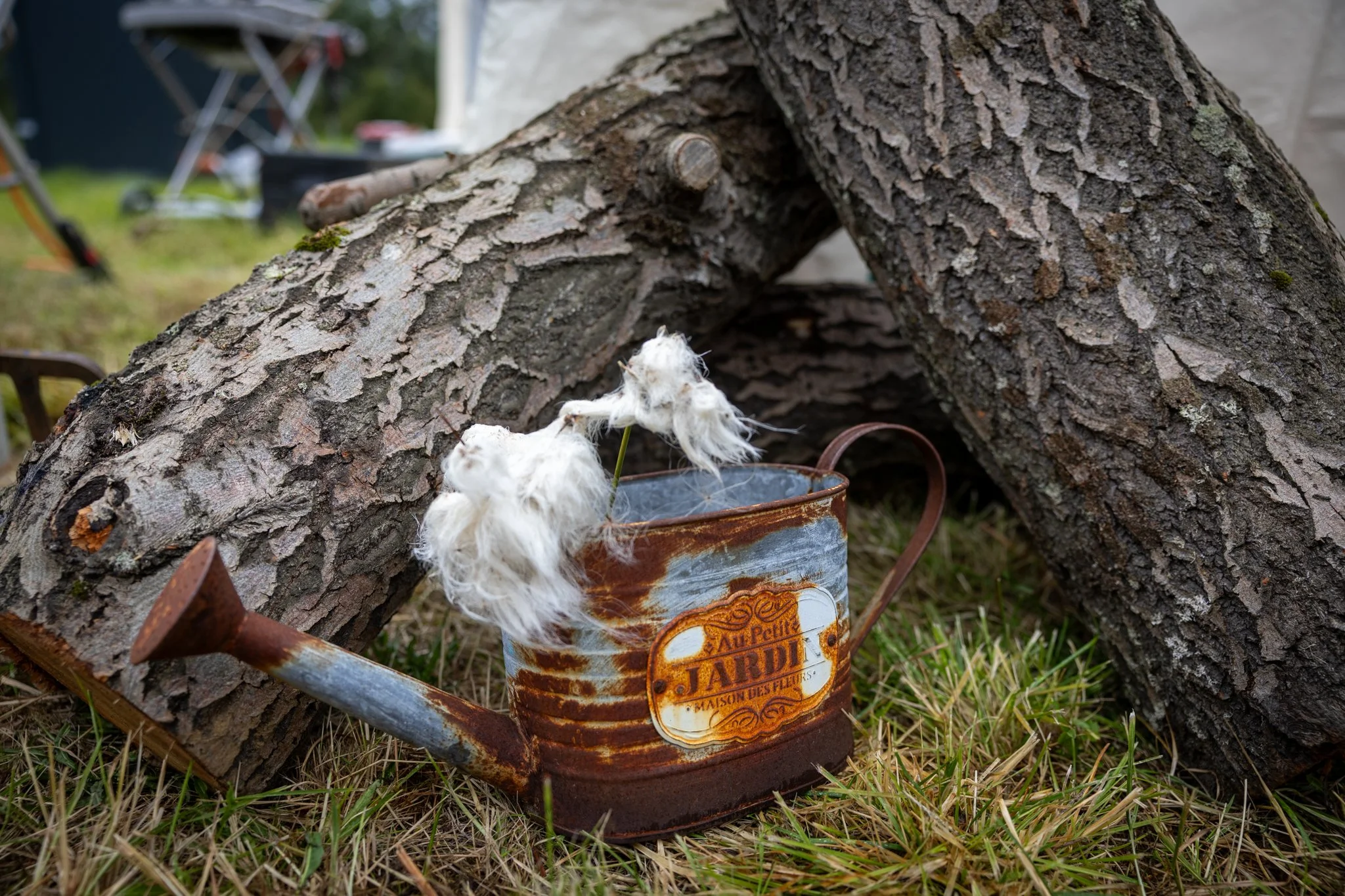 Veislan - NETupplausn (11 of 248).jpg