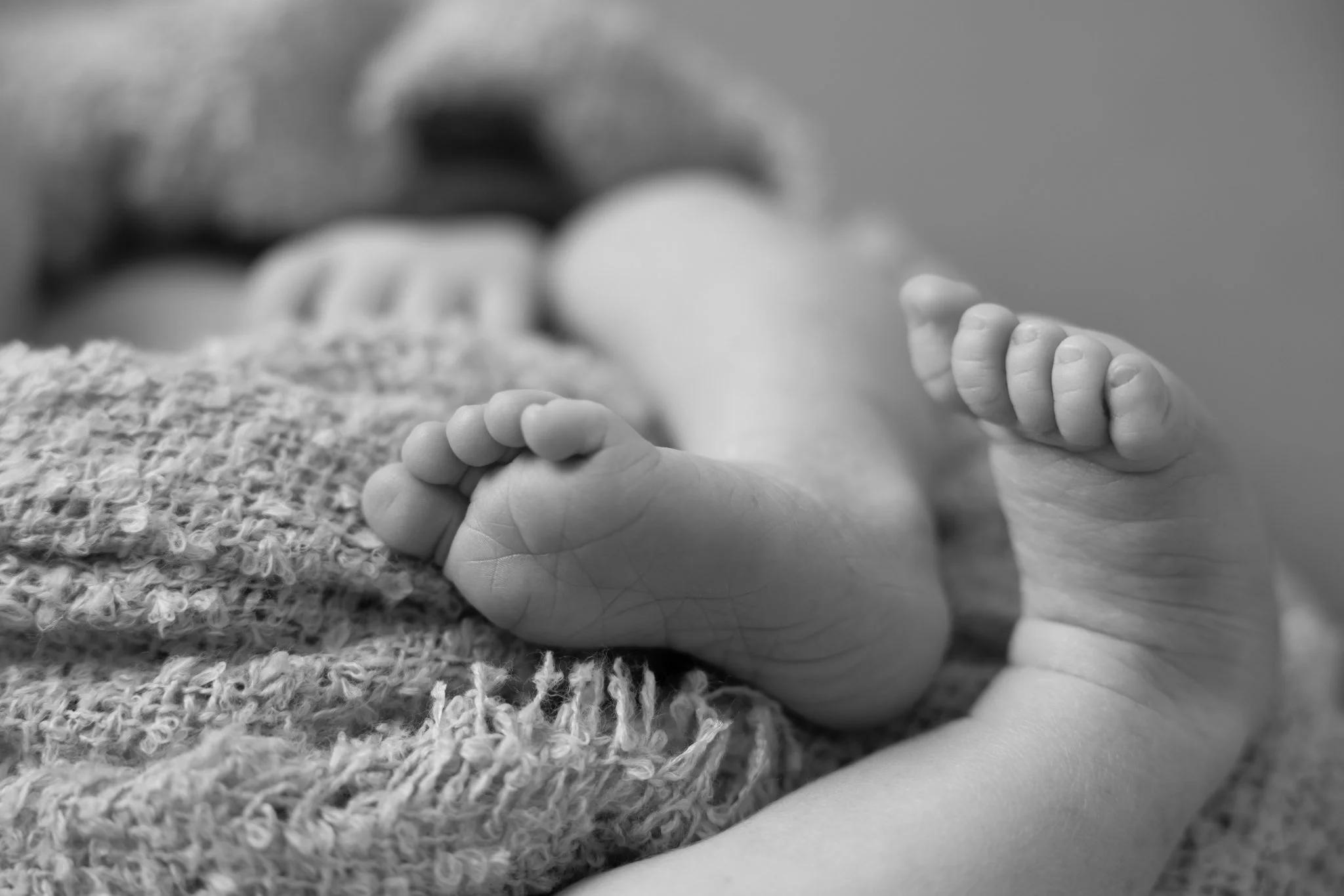 Alvar - NETupplausn (15 of 17)-2.jpg