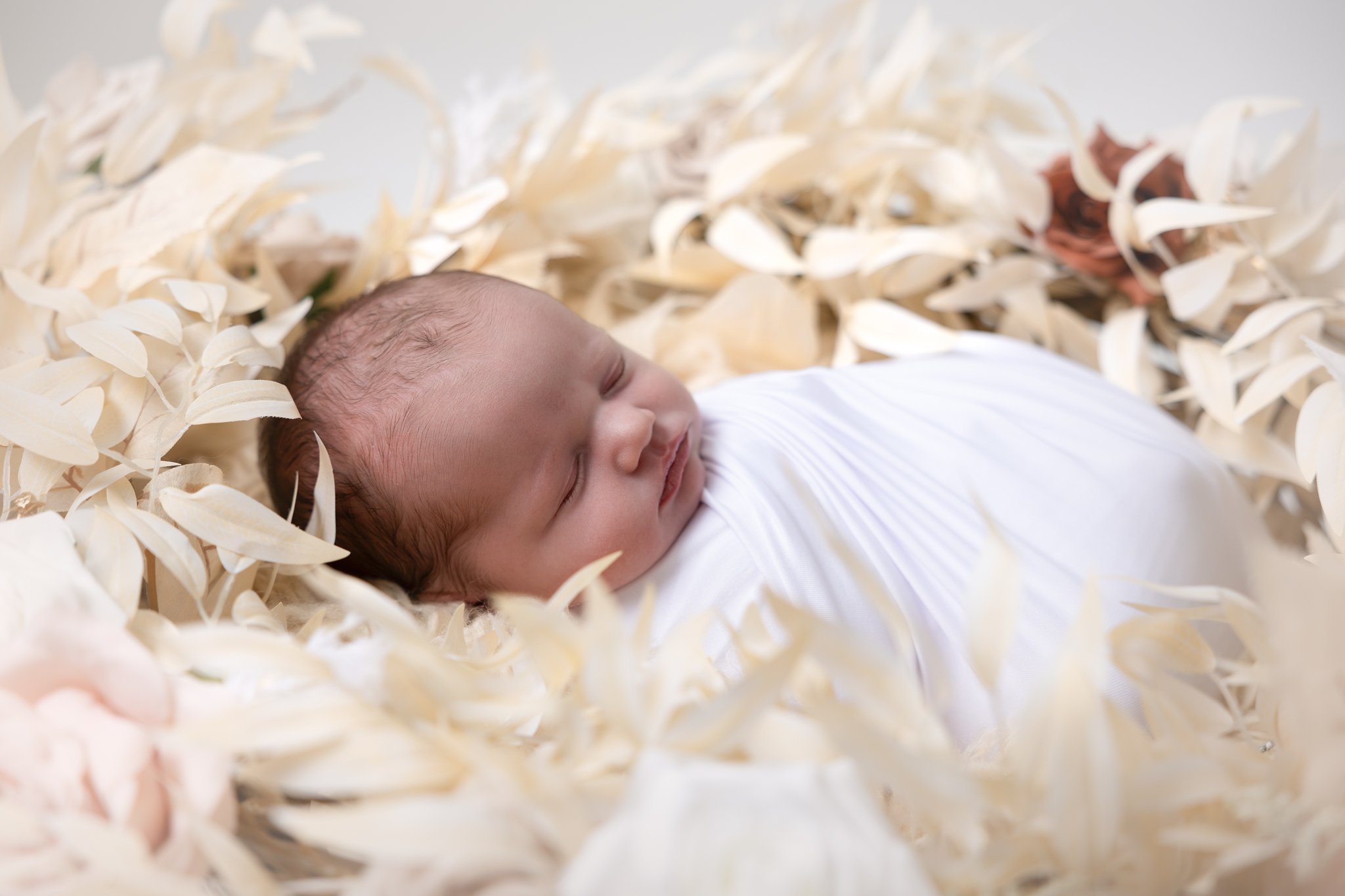 Ingibjörg Hauksdóttir - NETupplausn-29.jpg