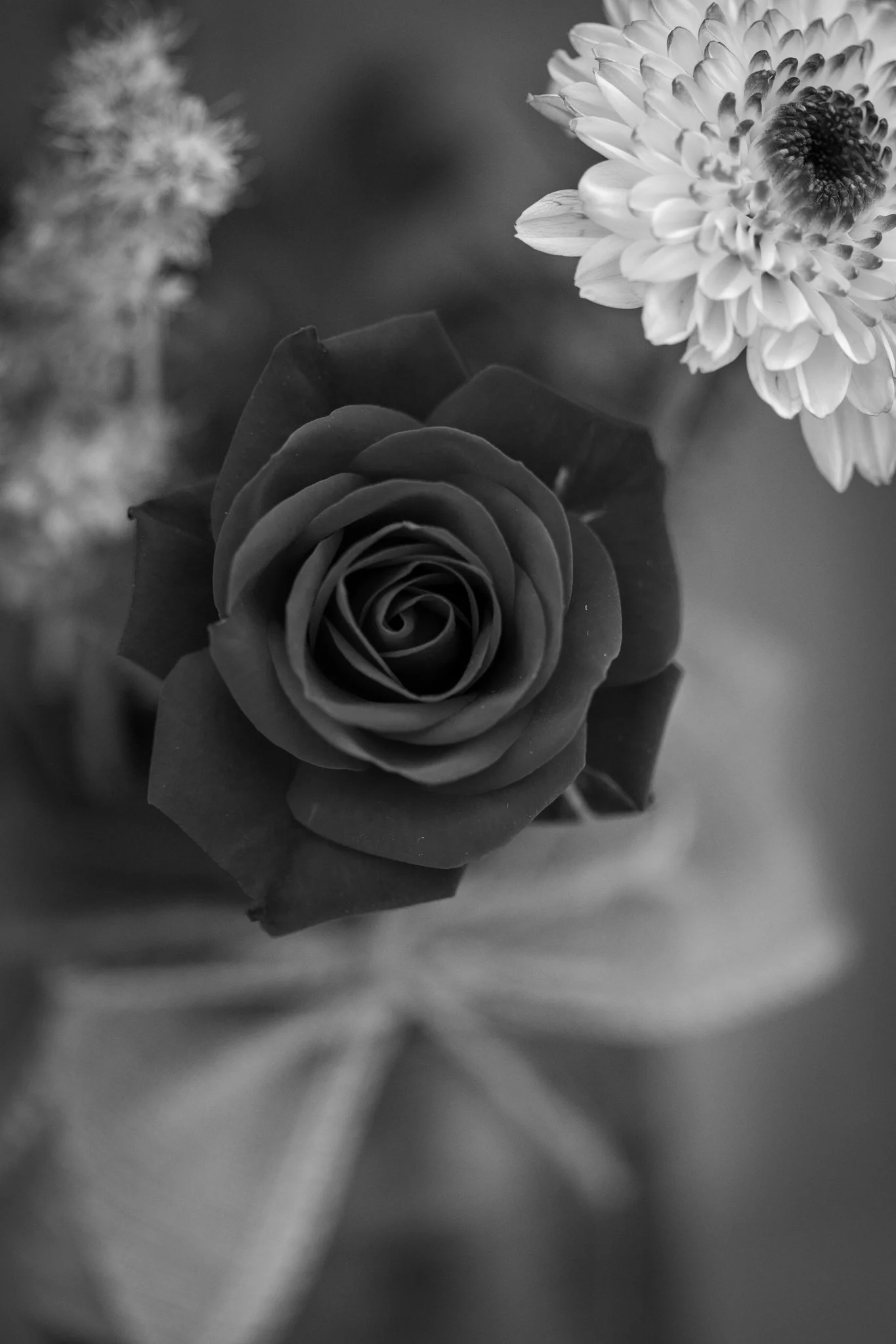 Veislan - NETupplausn (32 of 248)-2.jpg