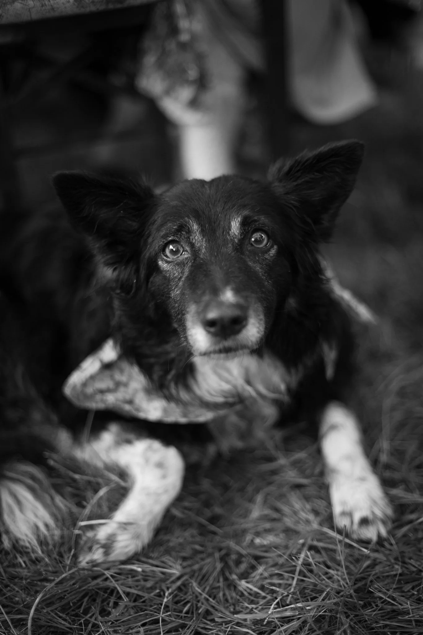 Veislan - NETupplausn (110 of 248)-2.jpg