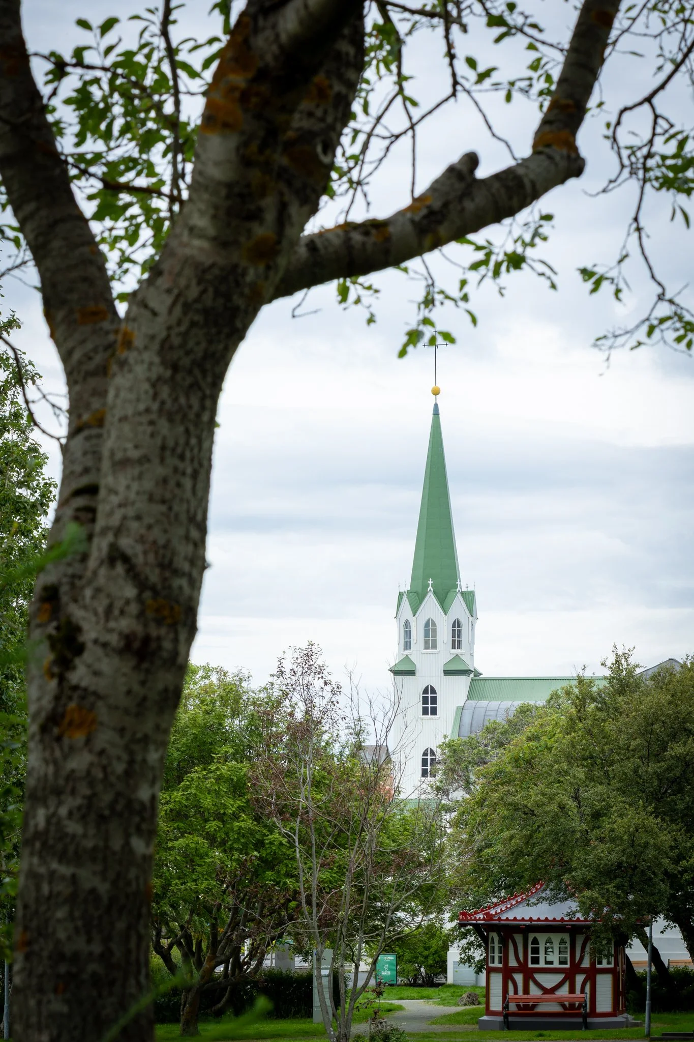 Athöfnin - NETupplausn-1.jpg