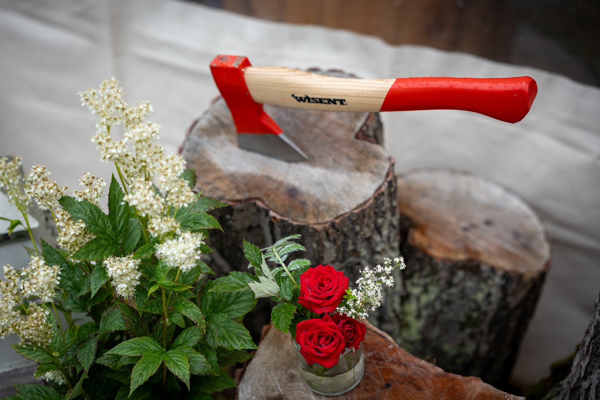 Veislan - NETupplausn (6 of 248).jpg