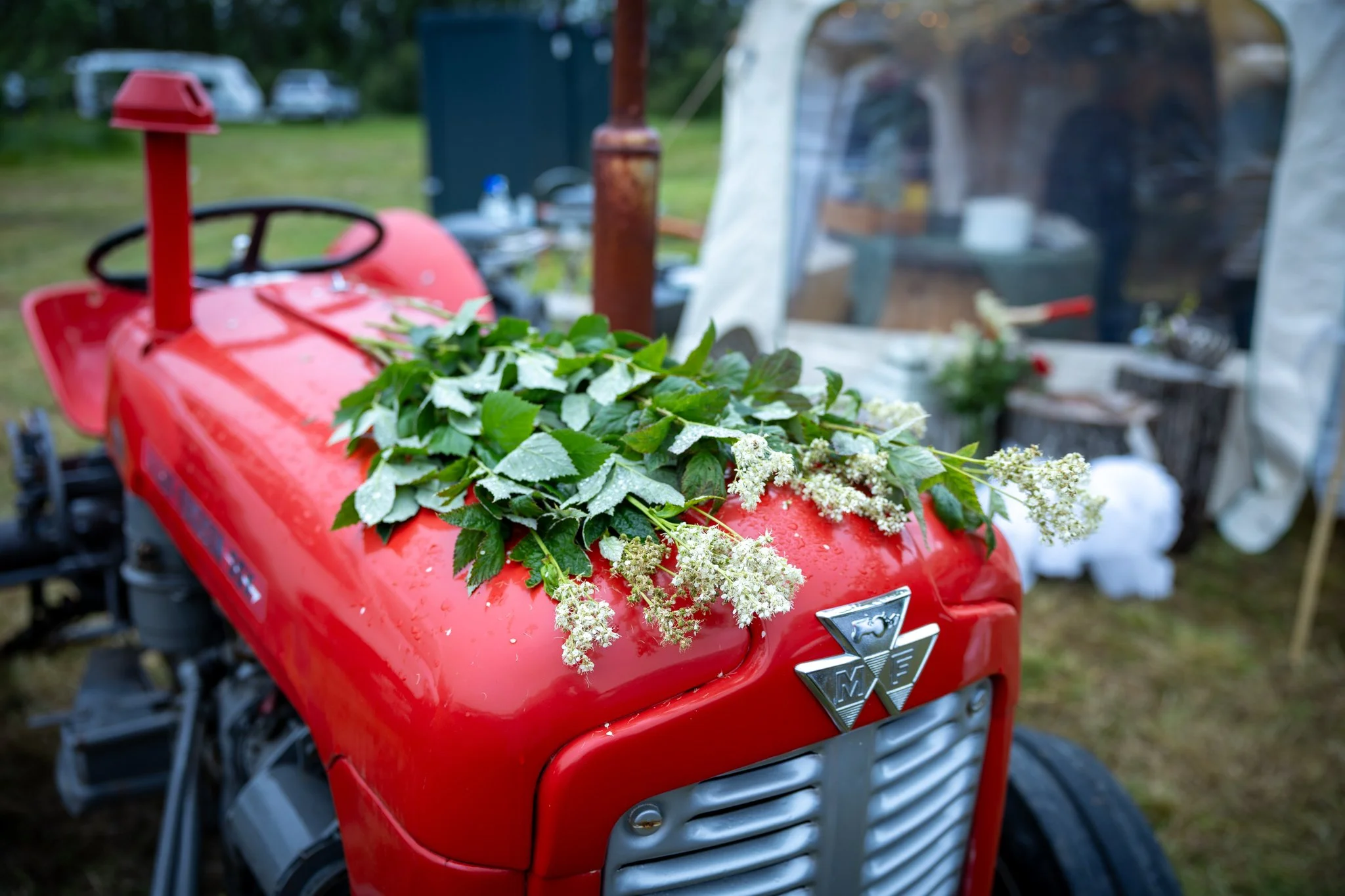 Veislan - NETupplausn (5 of 248).jpg