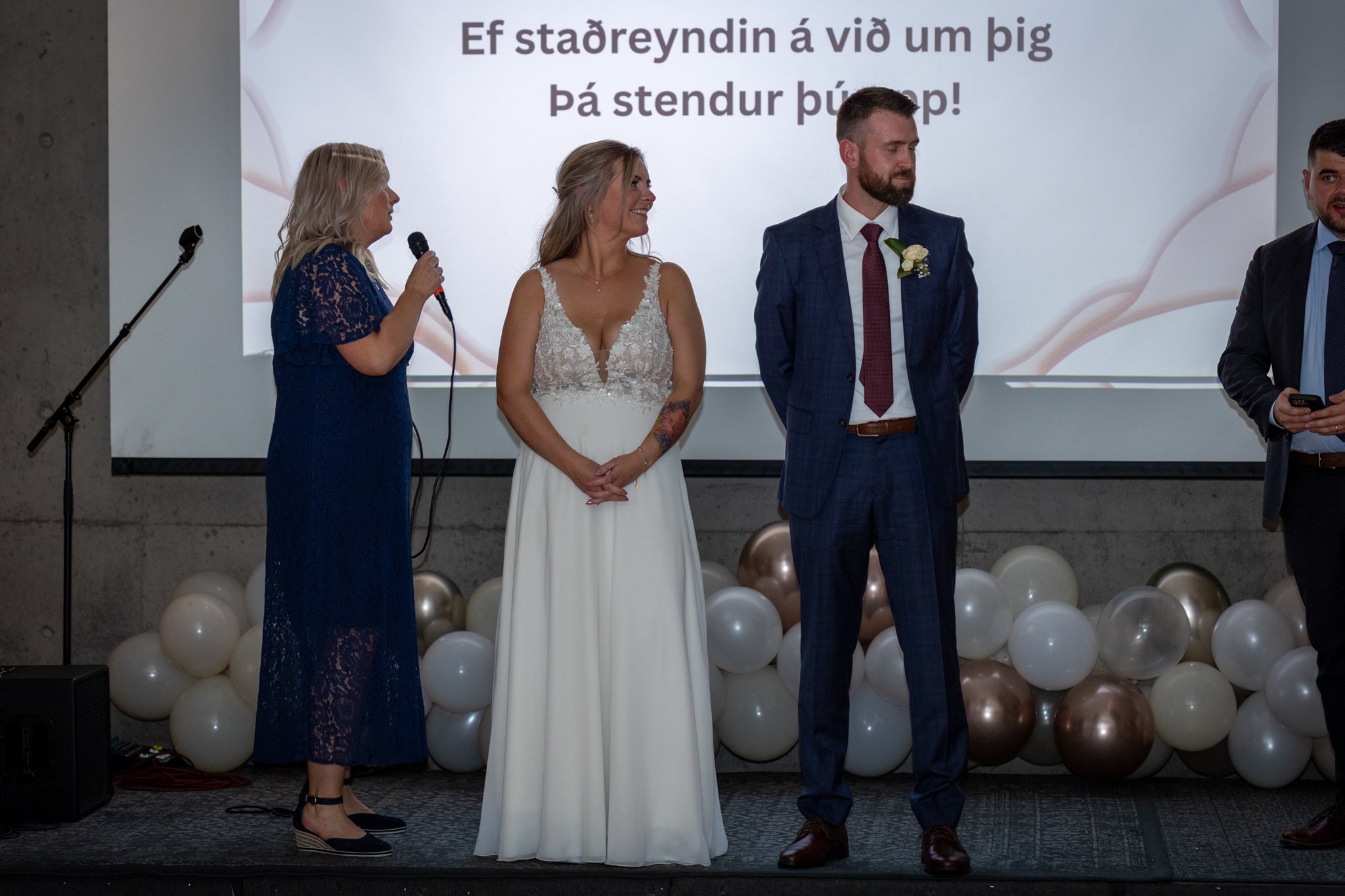 Veislan - NETupplausn-96.jpg