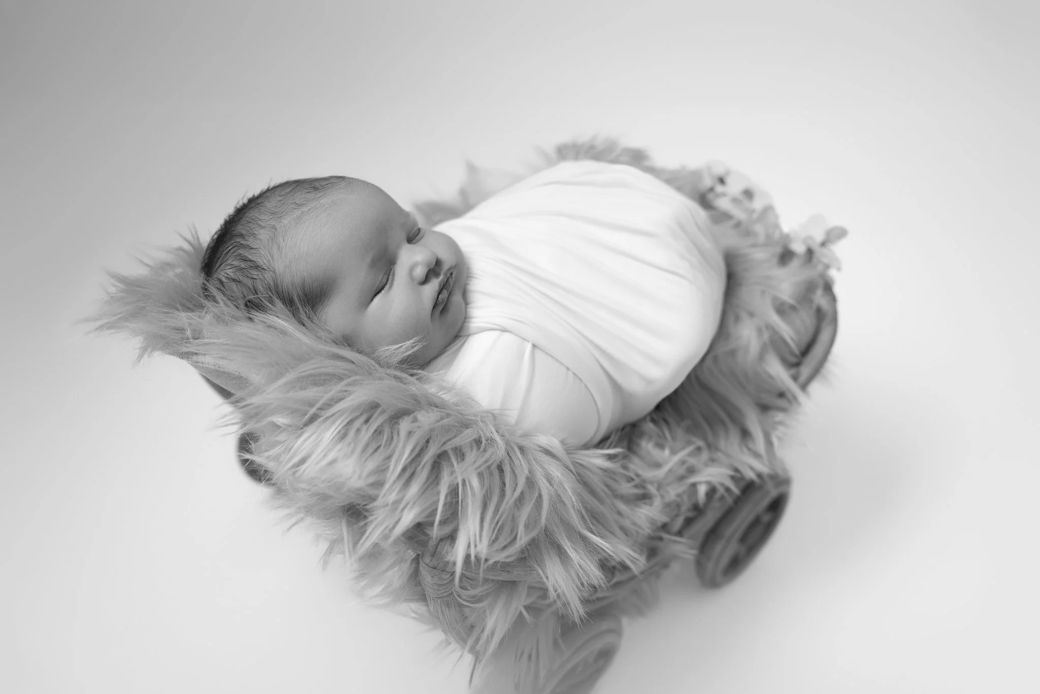 Ingibjörg Hauksdóttir - NETupplausn-34-2.jpg