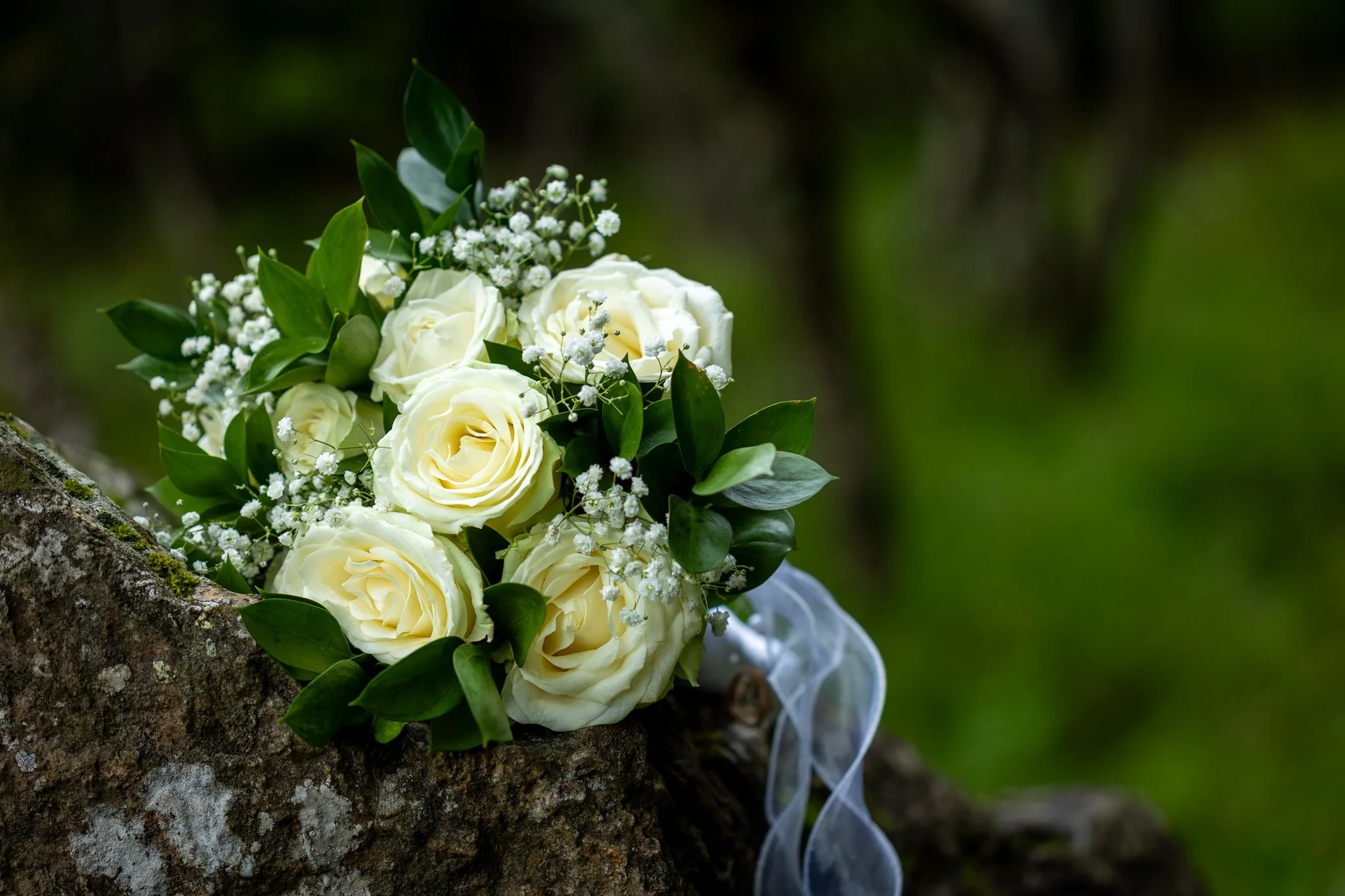 Myndatakan- NETupplausn-116.jpg