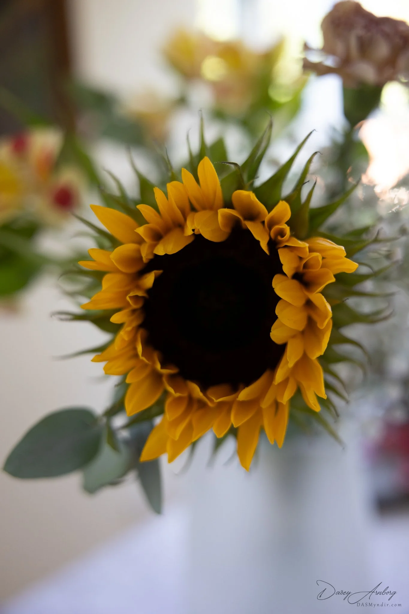 Gústav og Guðrún - NETupplausn-162.jpg