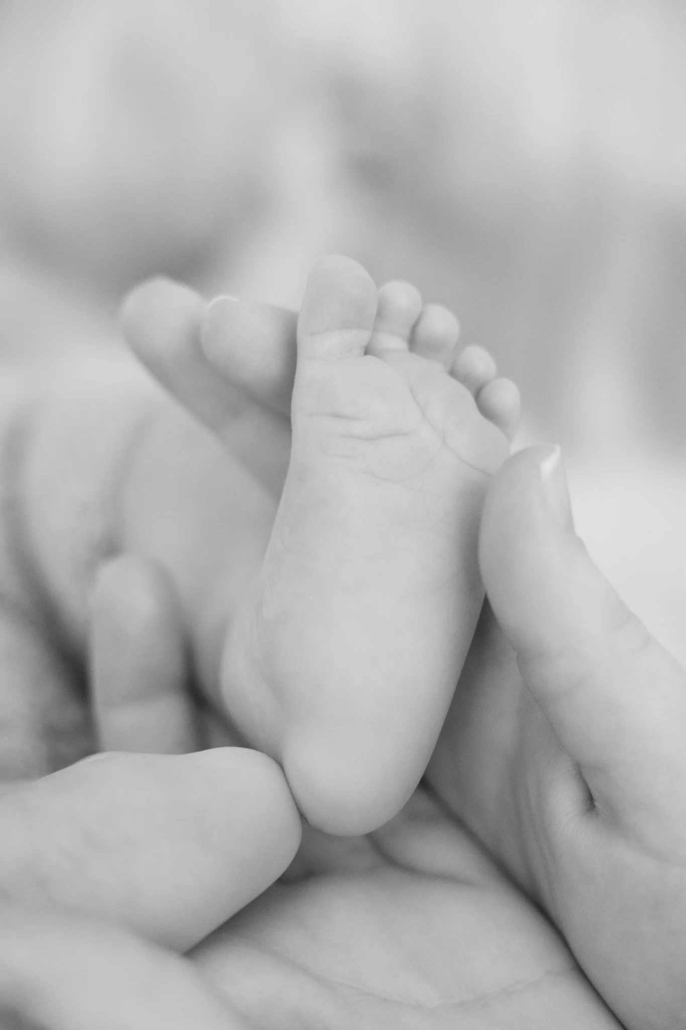 Nýburamyndataka - Hinrik - NETupplausn-3-2.jpg