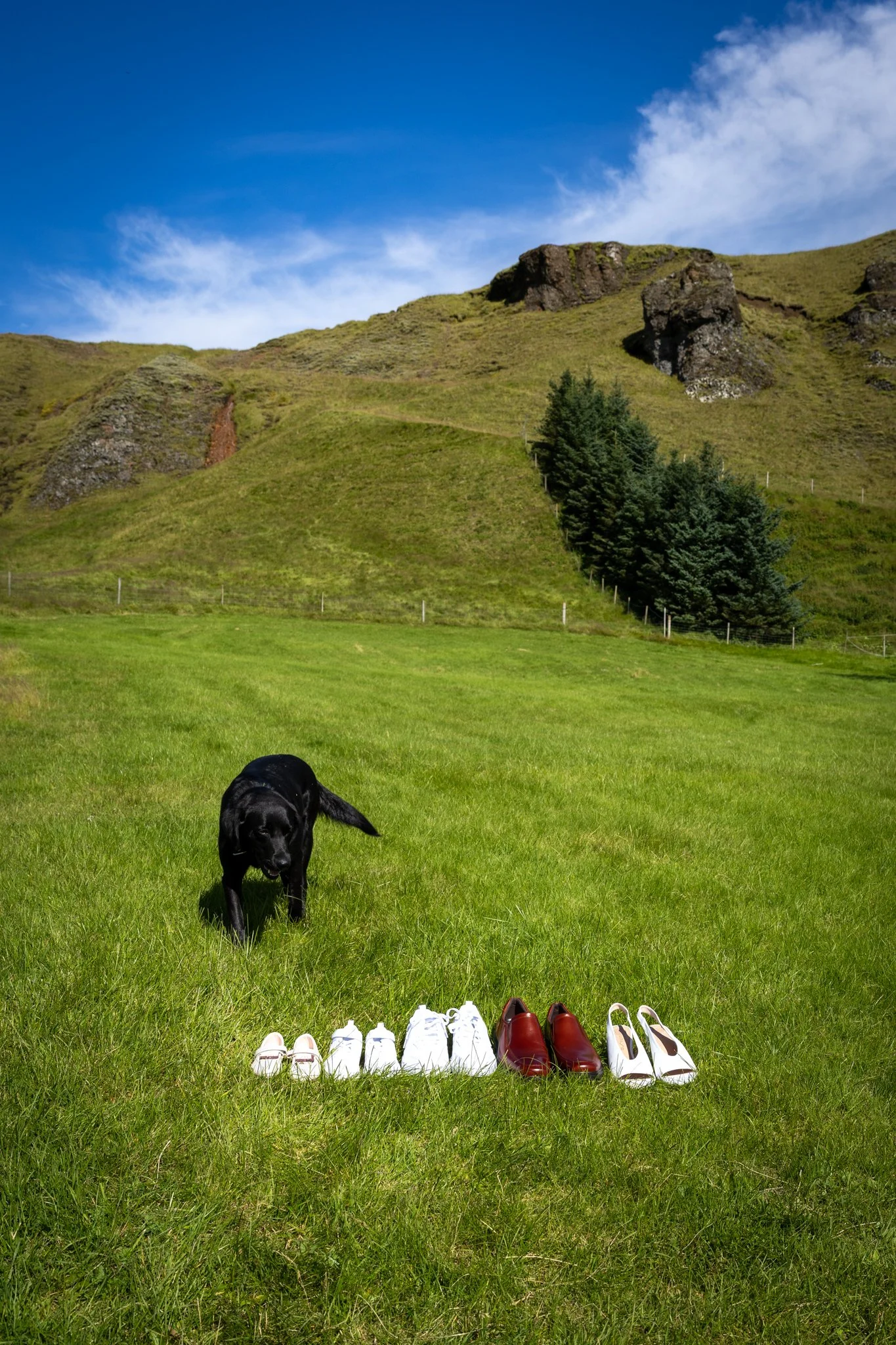 Undirbúningurinn - NETupplausn (1 of 109).jpg