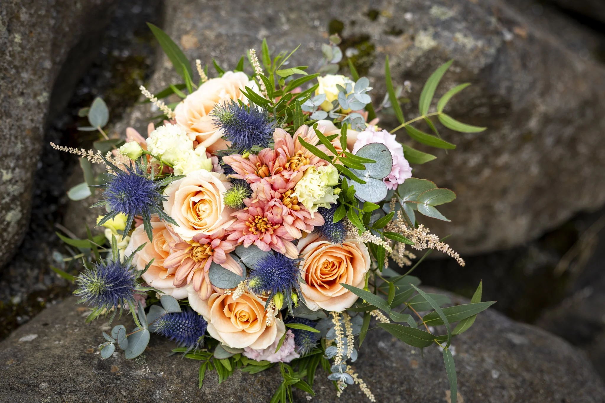 Myndatakan - NETupplausn-192.jpg