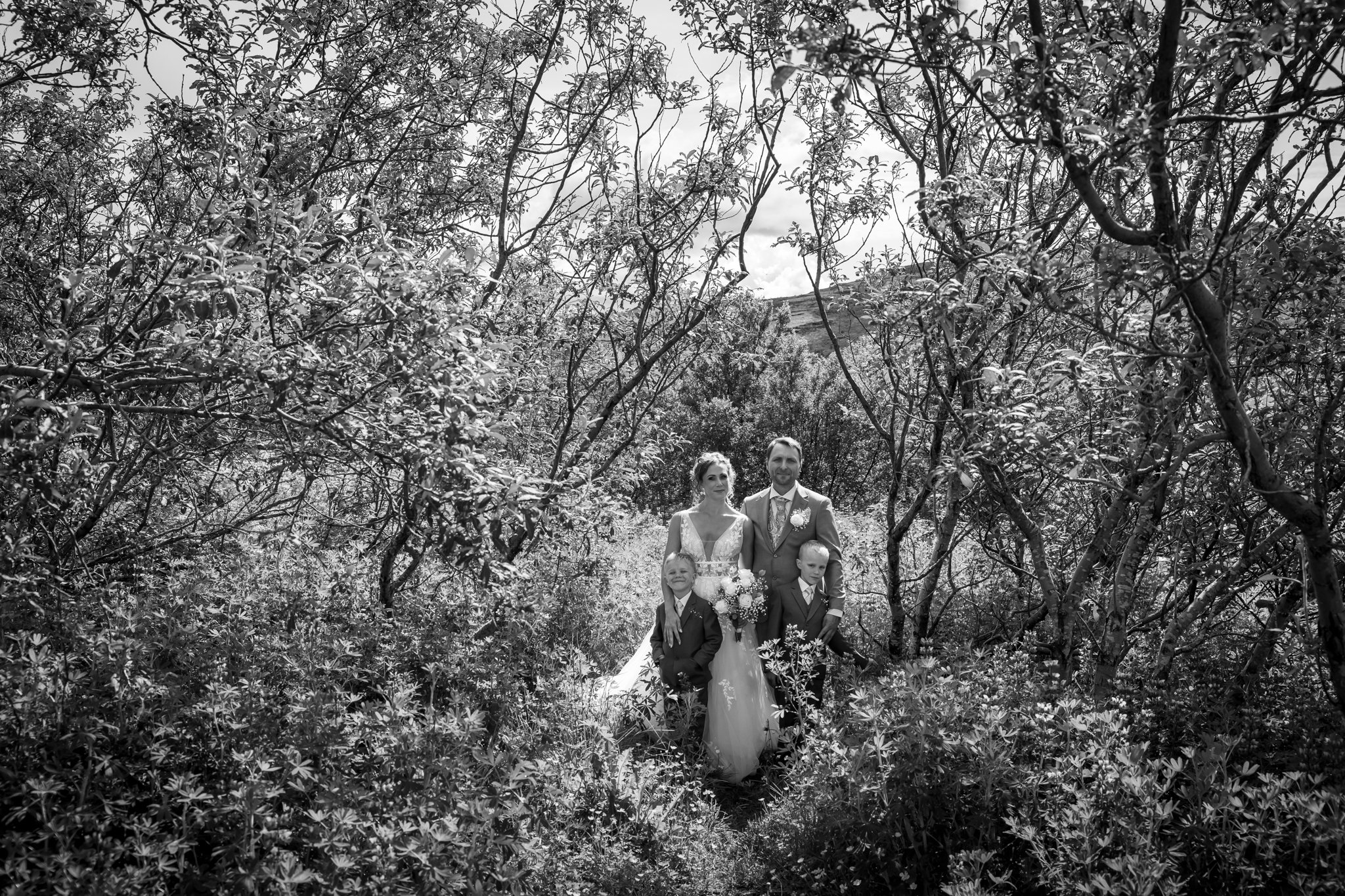 Myndatakan - NETupplausn-90-2.jpg