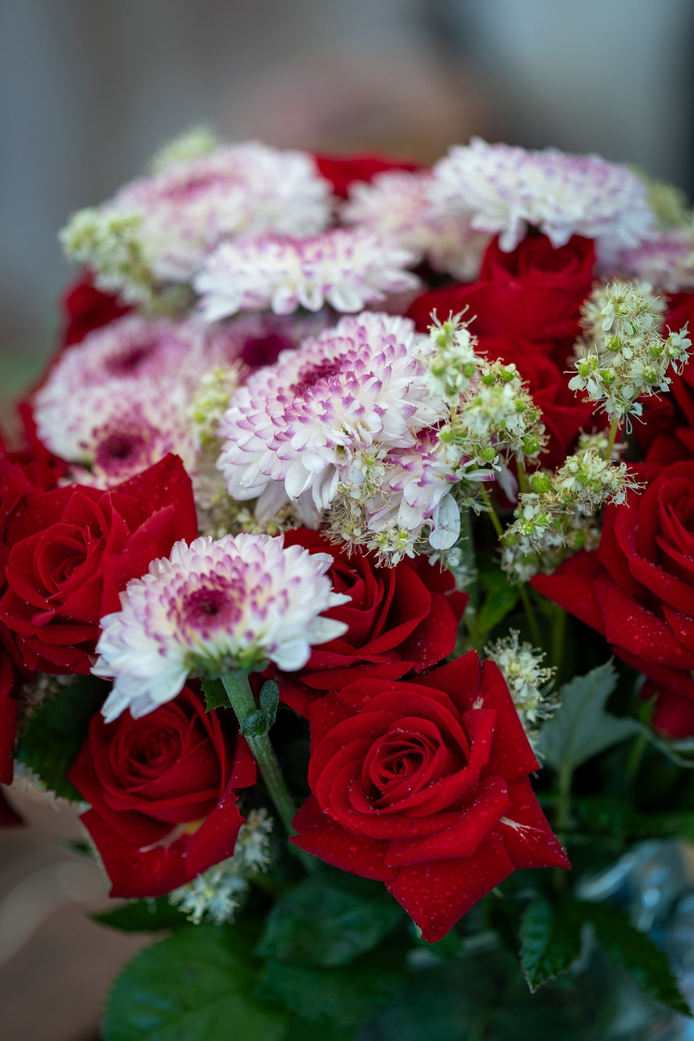 Veislan - NETupplausn (13 of 248).jpg