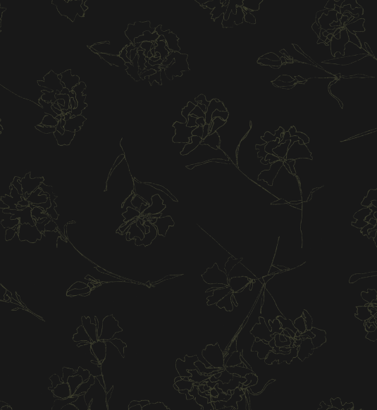 Screenshot 2023-09-16 at 4.11.55 PM.png