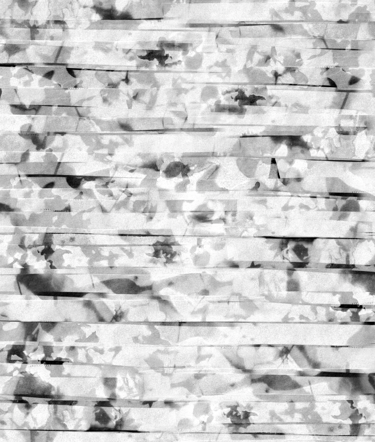 Screen Shot 2023-02-13 at 11.23.31 AM.png