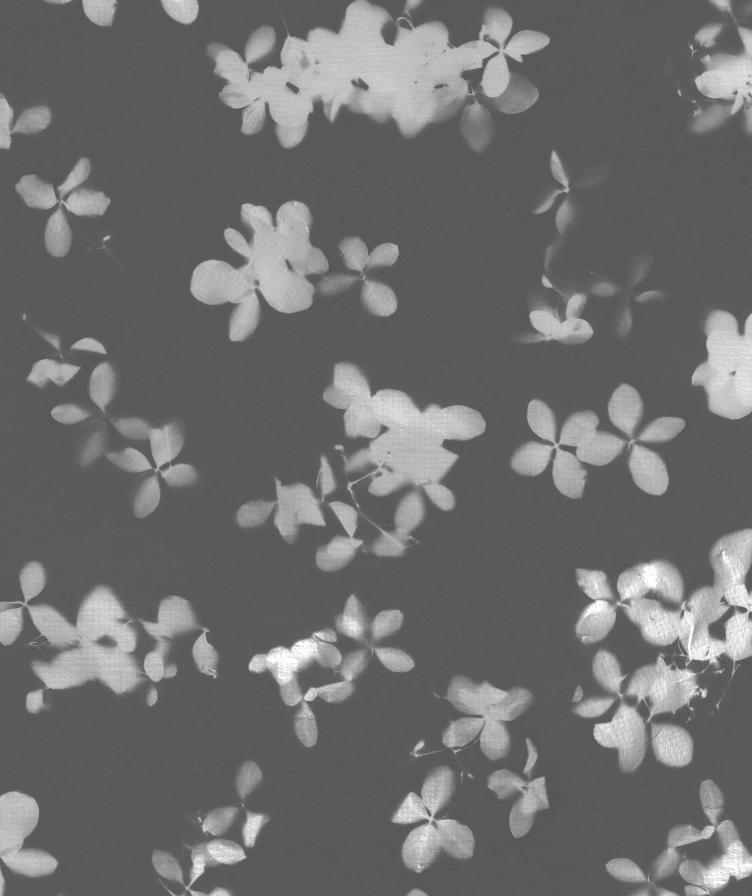 Screen Shot 2023-02-13 at 11.33.41 AM.png