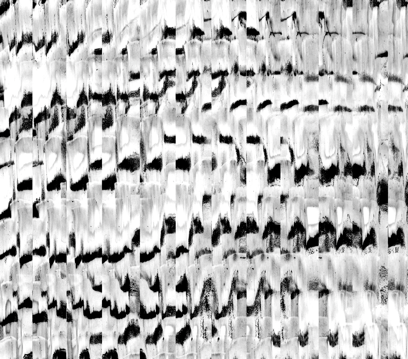 Screen Shot 2022-02-25 at 11.20.23 AM.png