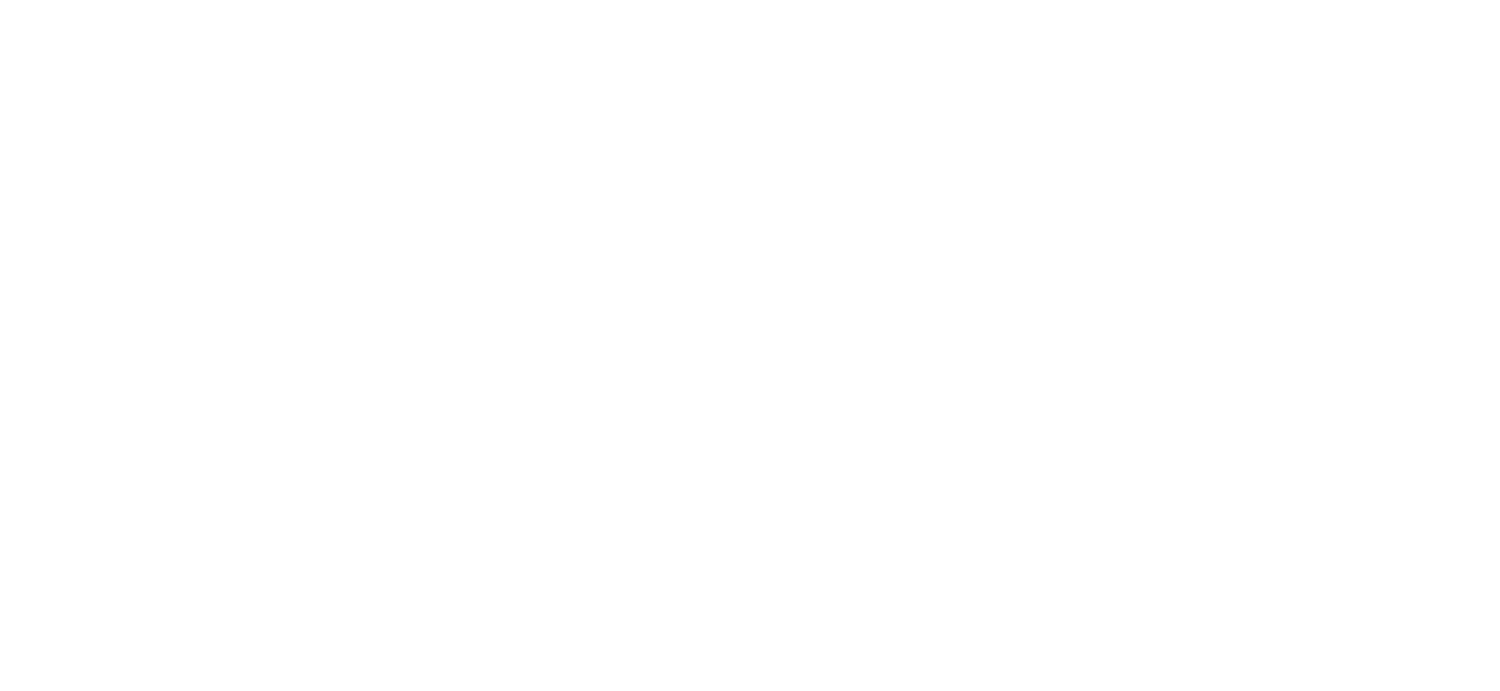 Airline Experience LTD