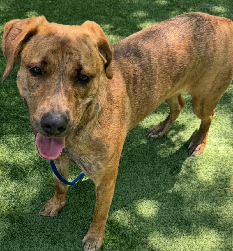 Screenshot 2026-01-20 142402.png