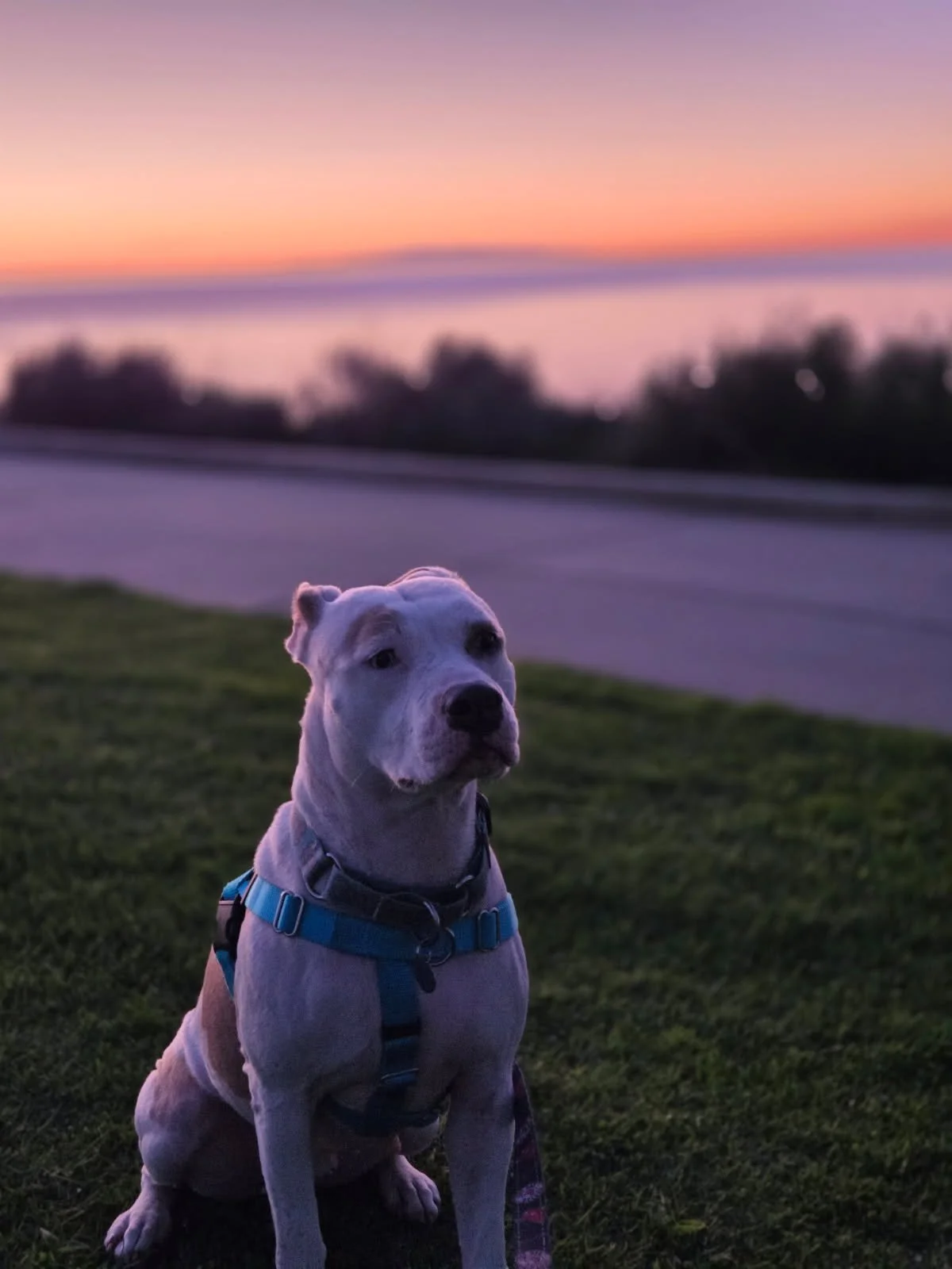 image000001.jpg (1).jpeg