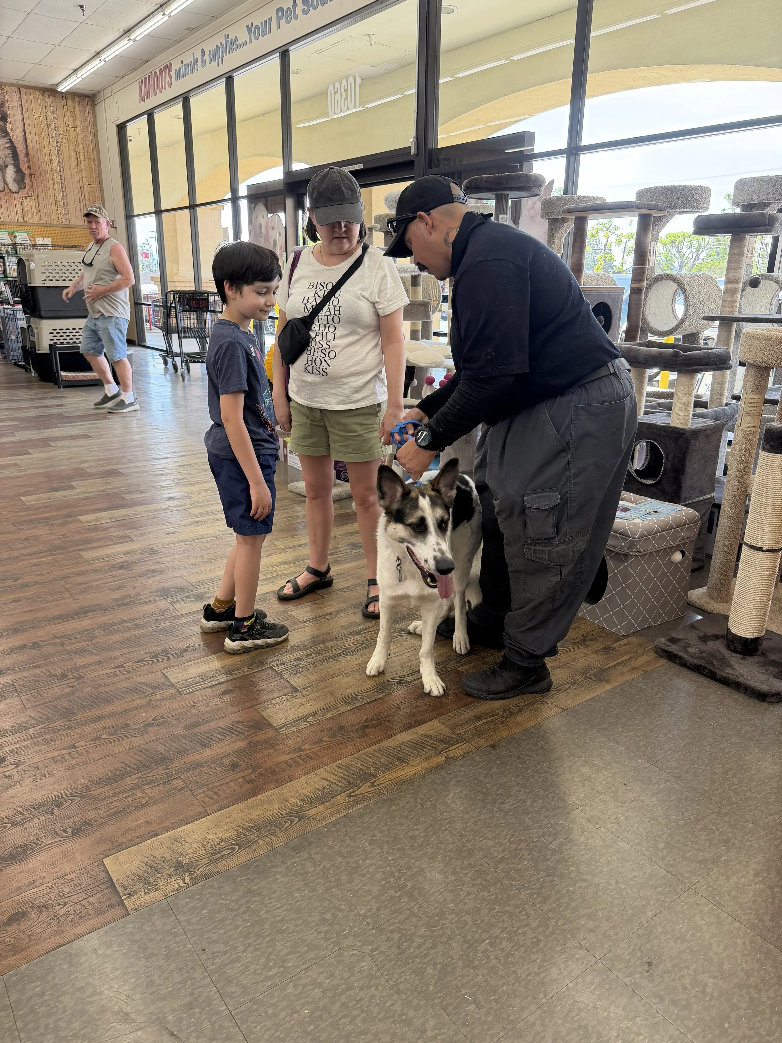 Frisbee meets a family.jpg