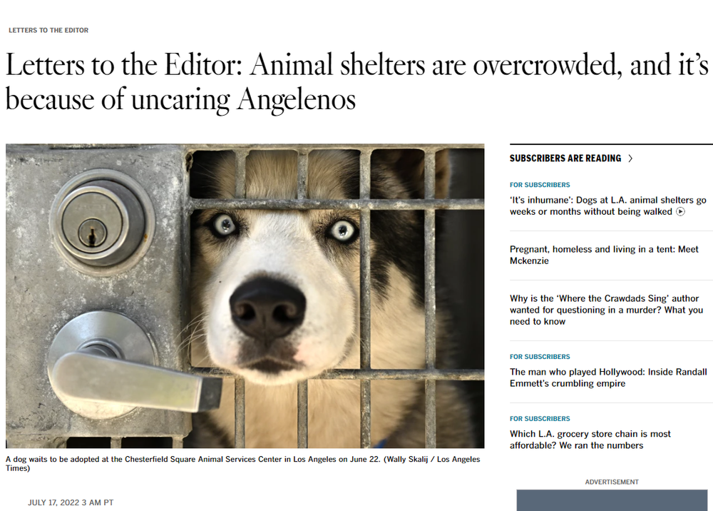 . shelters need more than additional staff. They need a COUP! — Outta  the Cage