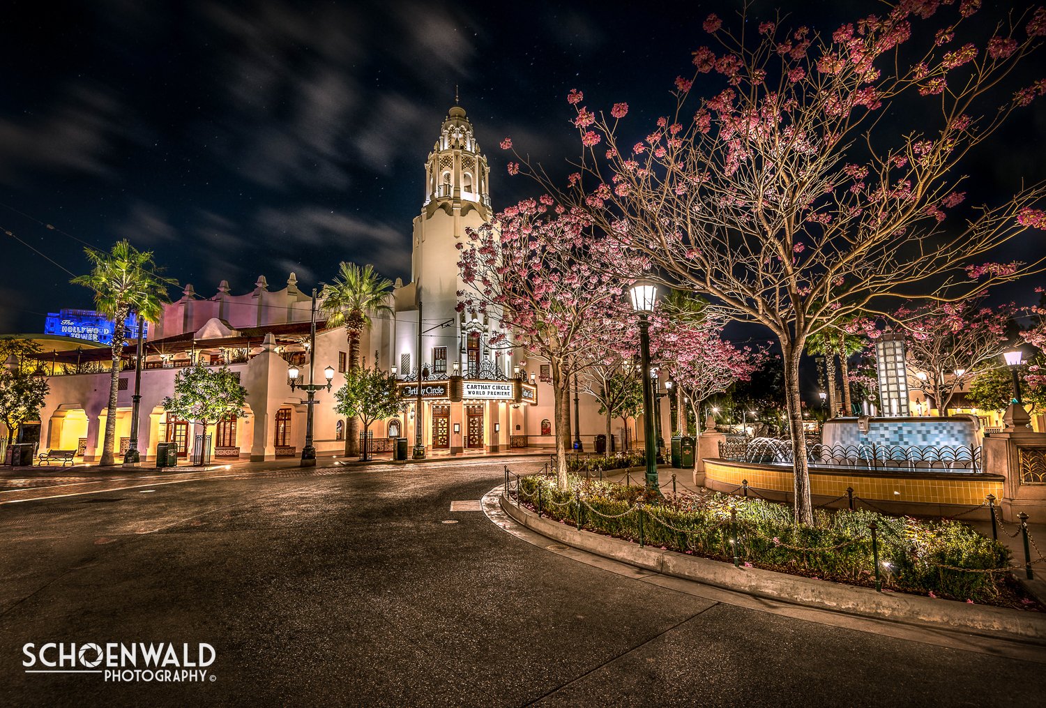 DSC_6986-Edit-Edit.jpg