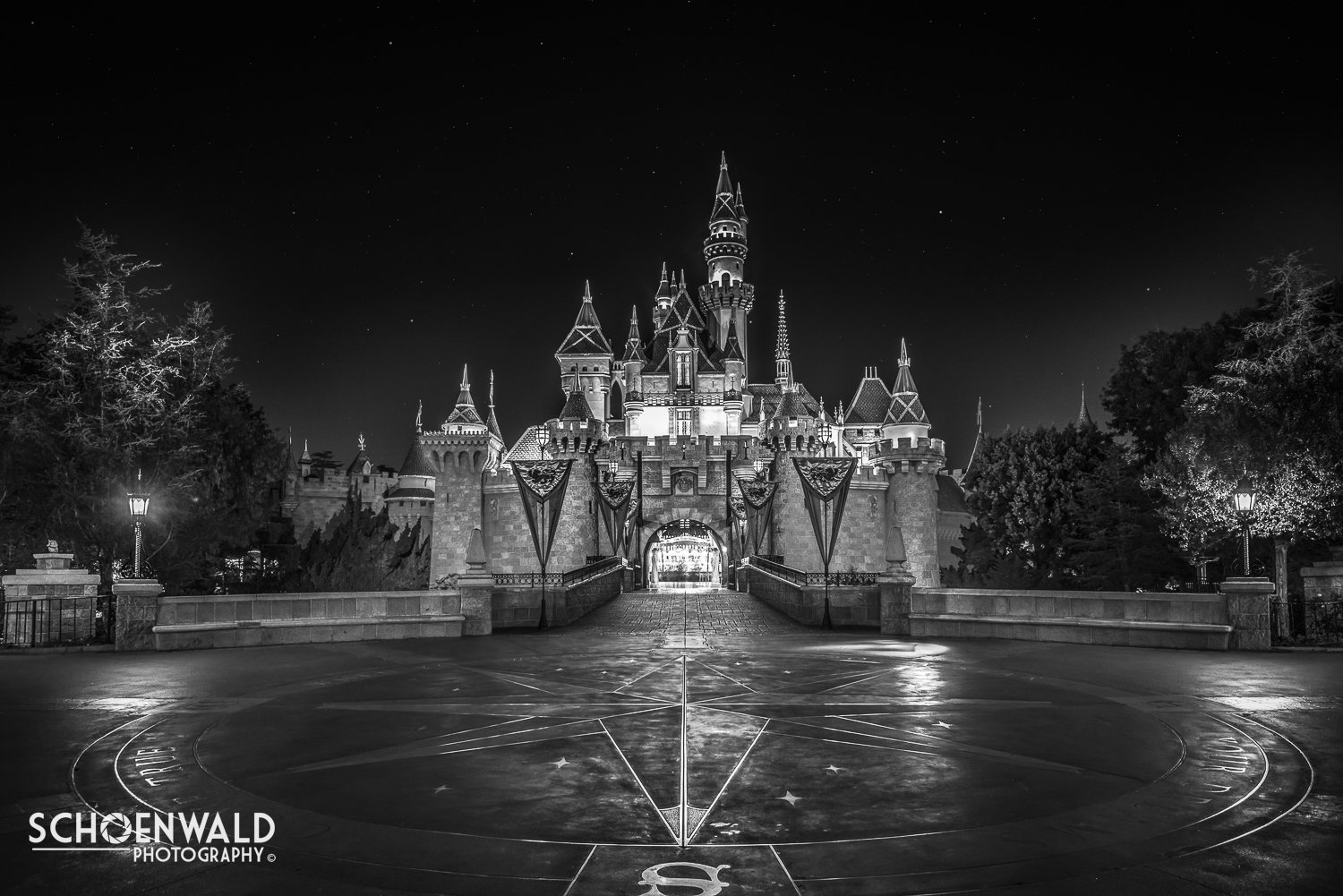 DSC_6572-Edit.jpg