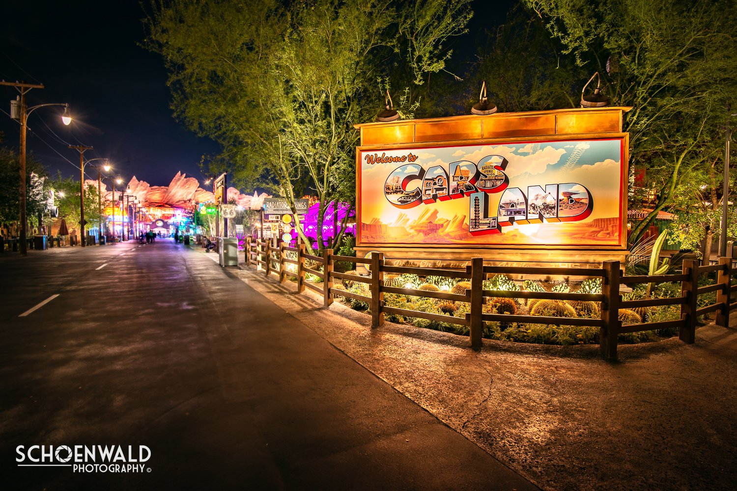DSC_6973-Edit.jpg