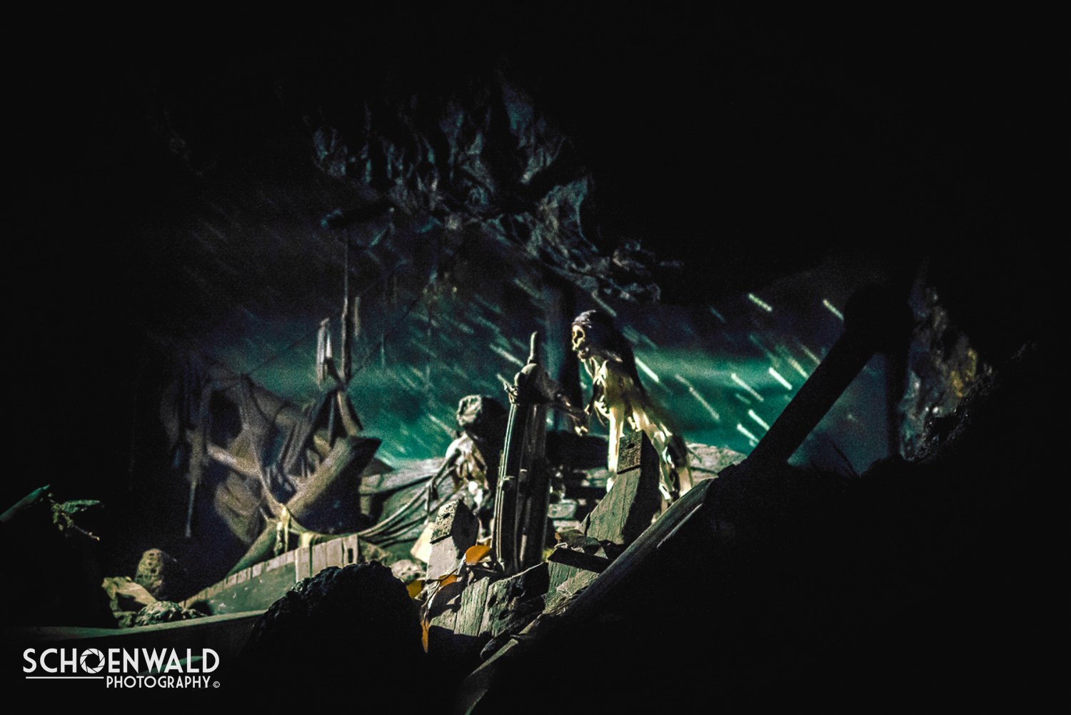DSC_6493-Edit-Edit.jpg