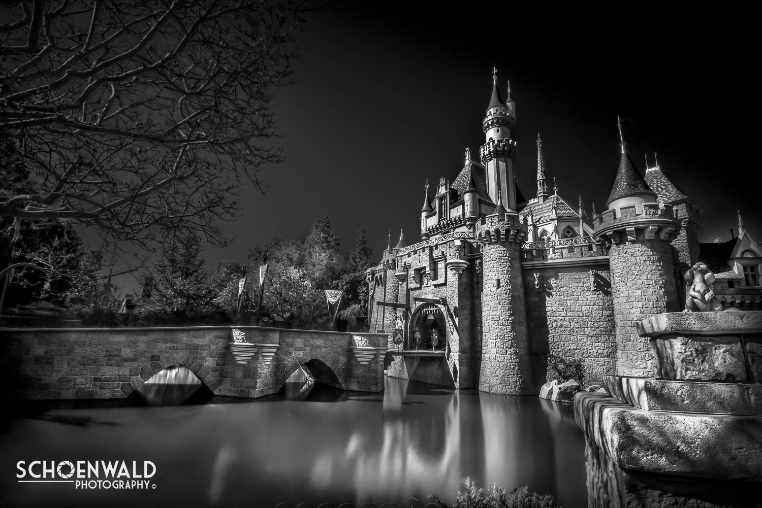 DSC_0456-Edit-Edit.jpg