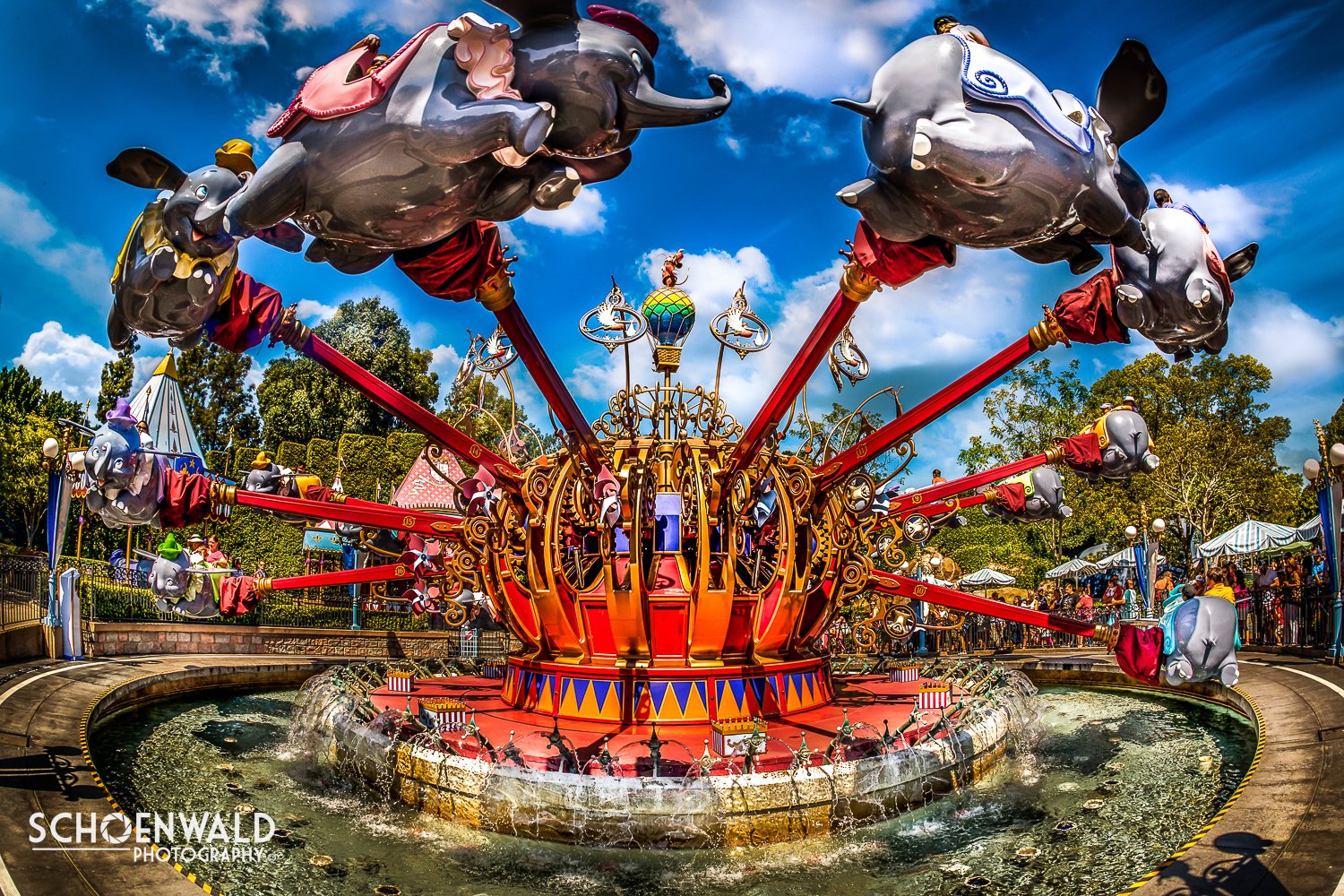 DSC_5140-Edit.jpg