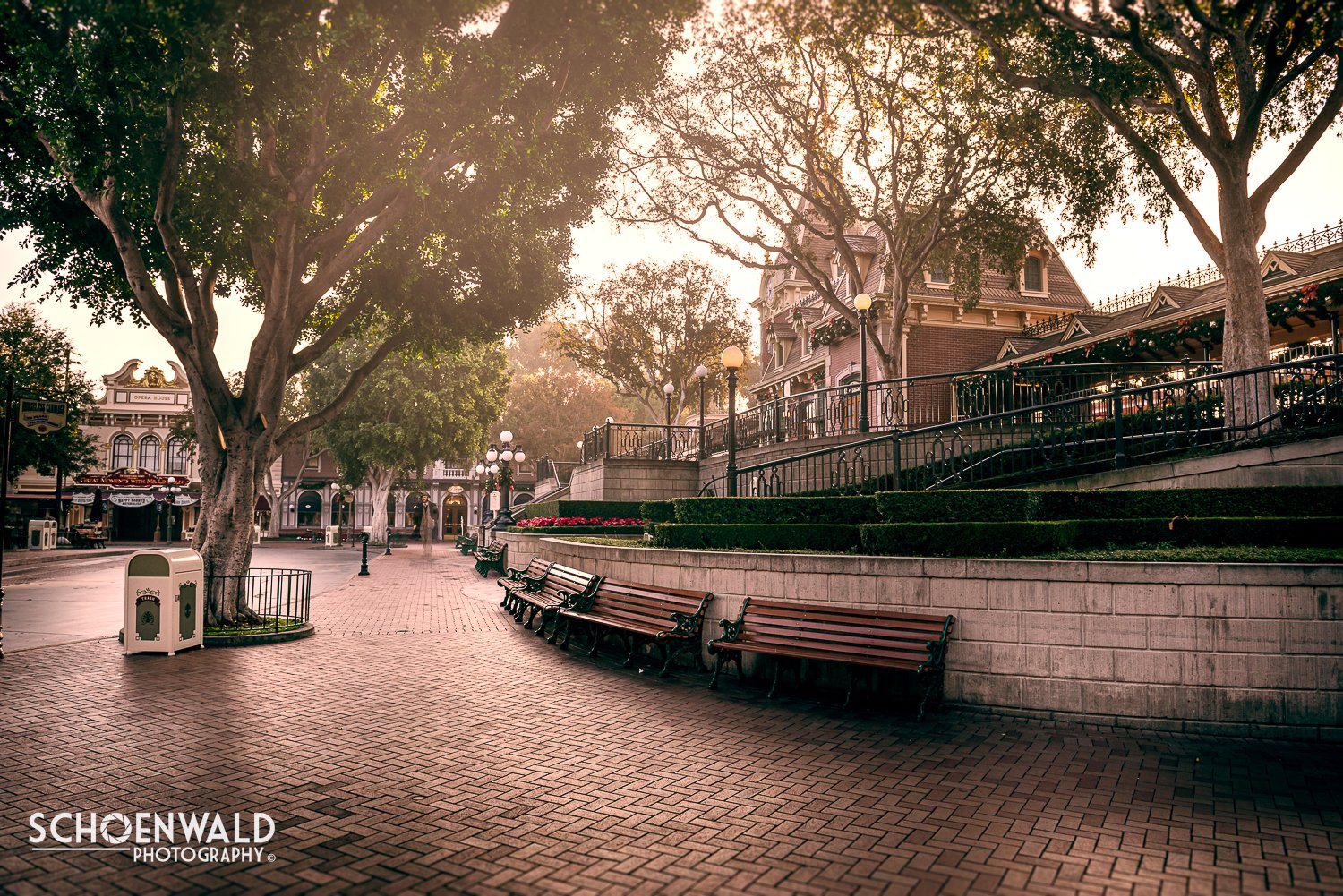 WDpark copy.jpg