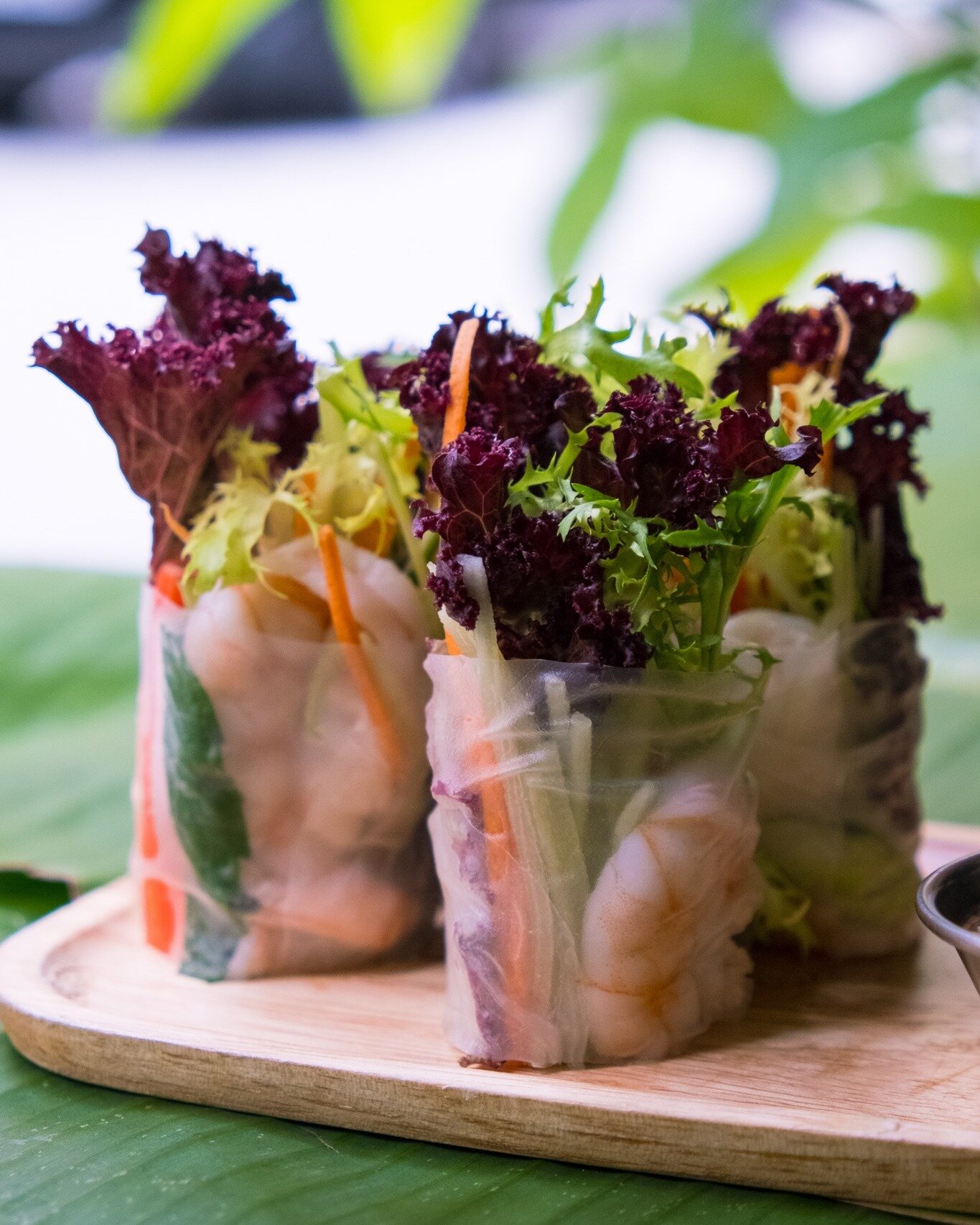 Fresh, vibrant, and oh-so-delicious! Dive into the flavours of summer with these refreshing summer rolls 😋
⠀⠀⠀⠀⠀⠀⠀⠀⠀
 #summerrolls #freshspringrolls #thaifood #vietnamesefood #asianfood #hkthairestaurant #saiyingpun #bestthaifood #hkrestaurant #hkig