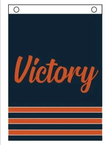 Chicago Bears Navy Garden Flag [placed in a patio planter / next to the garage] to celebrate the Chicago bears win.