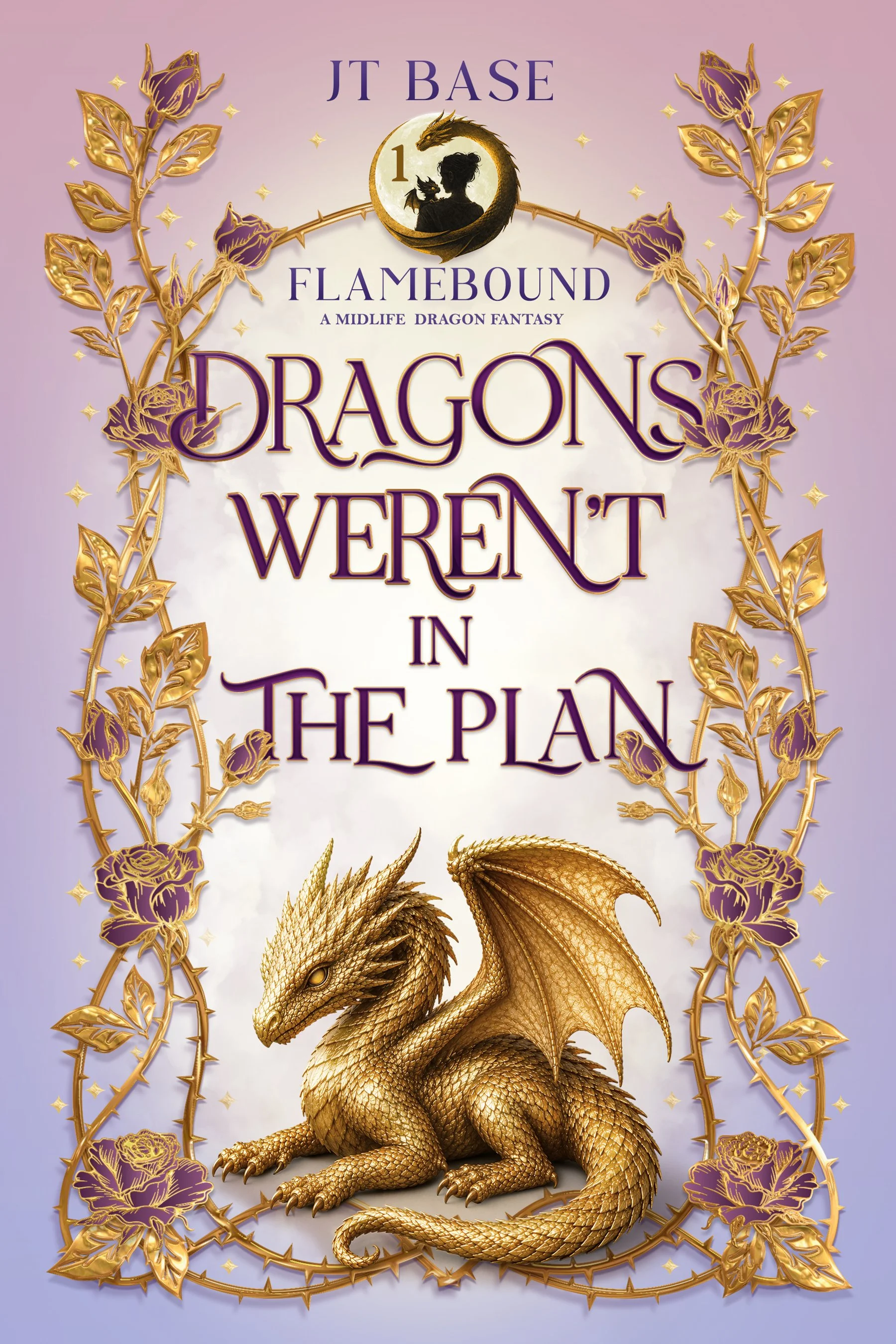 Cover of Dragon's Weren't in the Plan Book