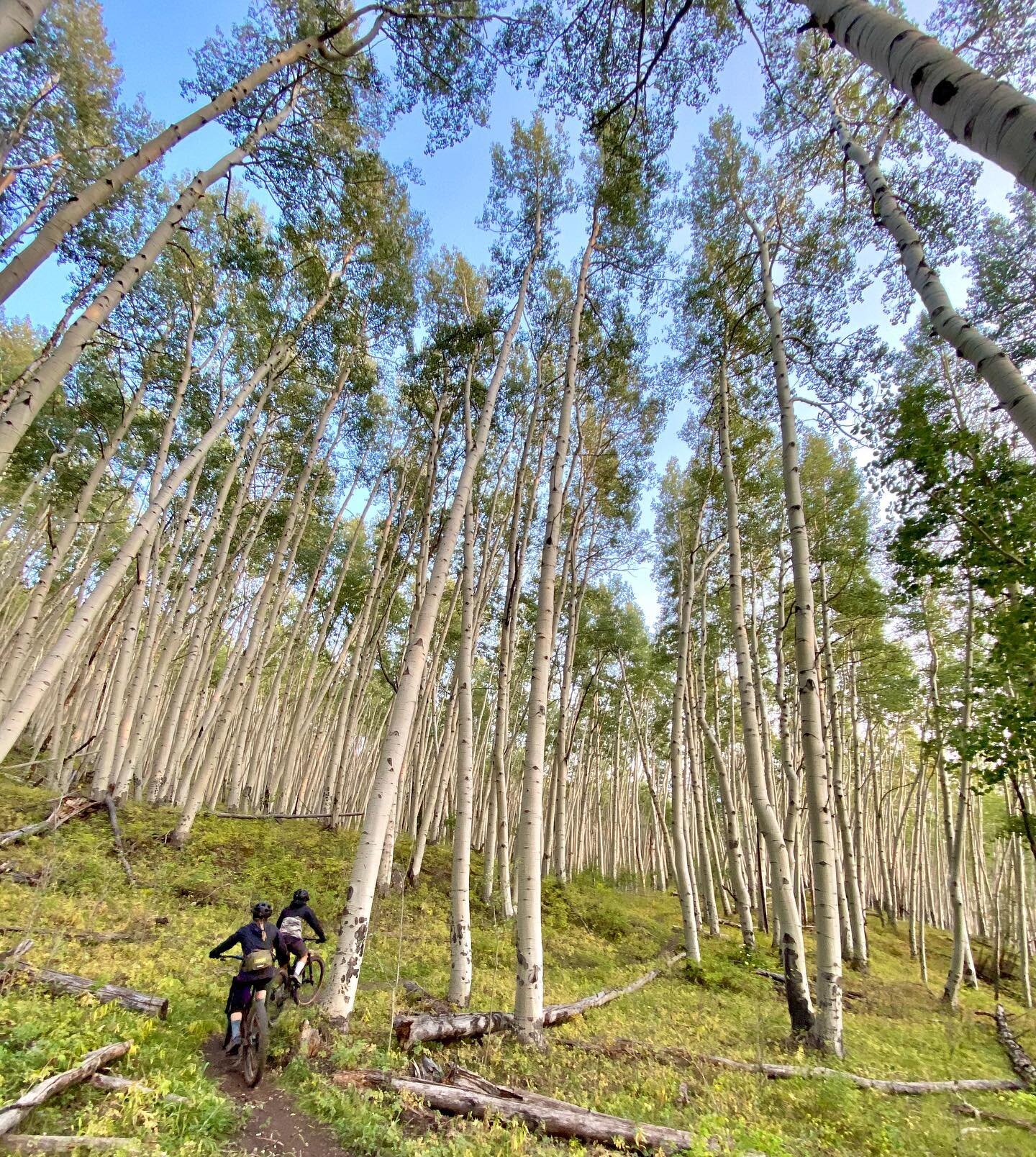 Getting lost in the aspens🌀
Have you ever noticed how often you say sorry for things you have no control over or for things that really don&rsquo;t need to be apologized for?? So our goal for this mountain biking trip is a little different than most